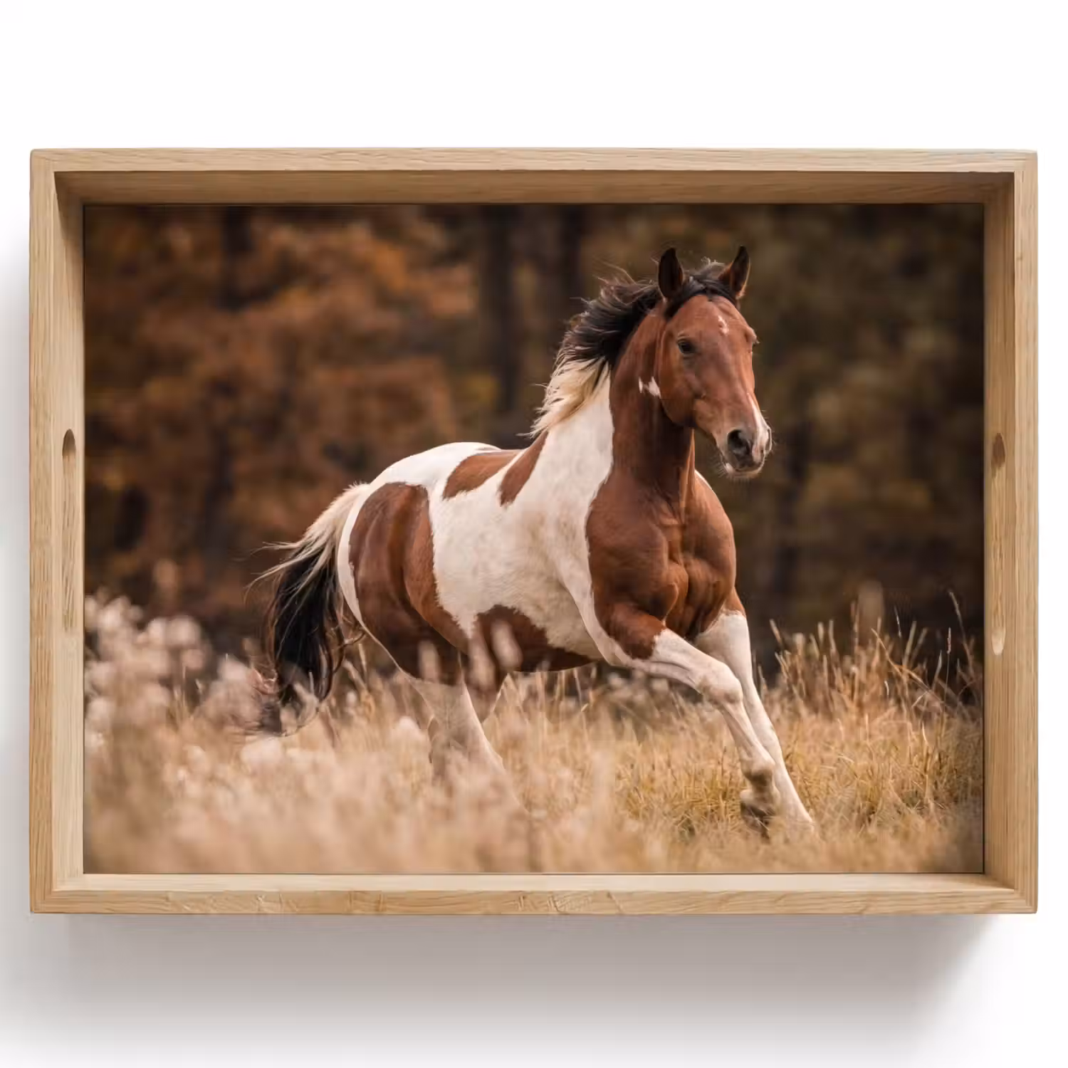 Paard - Bruin - Gras Dienblad Rechthoek middel -z3d_shopping