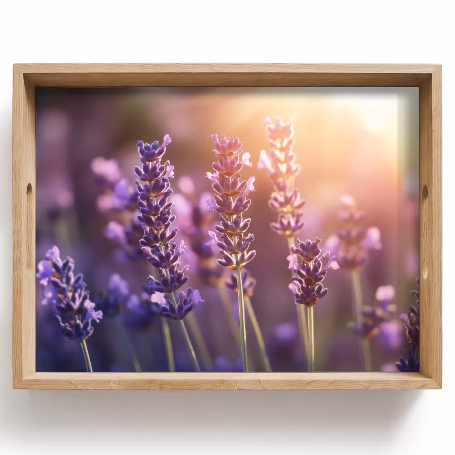 Lavendelbloemen - Paars - Zonlicht Dienblad Rechthoek middel -z3d_shopping