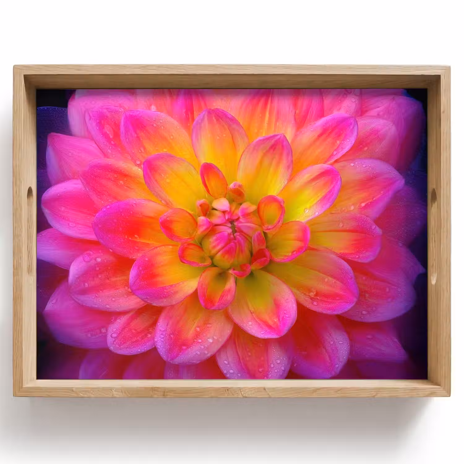 Roze - Dahlia - Kleurrijk Dienblad Rechthoek middel -z3d_shopping
