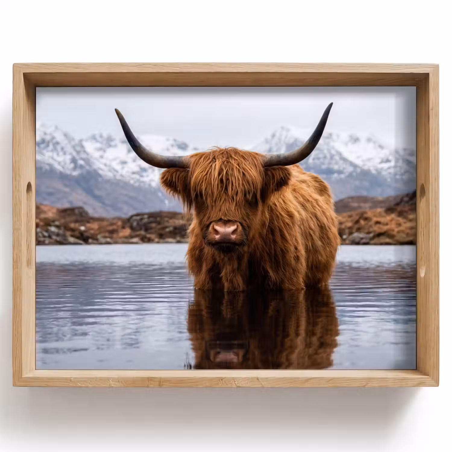 Schotse hooglander - Bruin - Water Dienblad Rechthoek middel -z3d_shopping