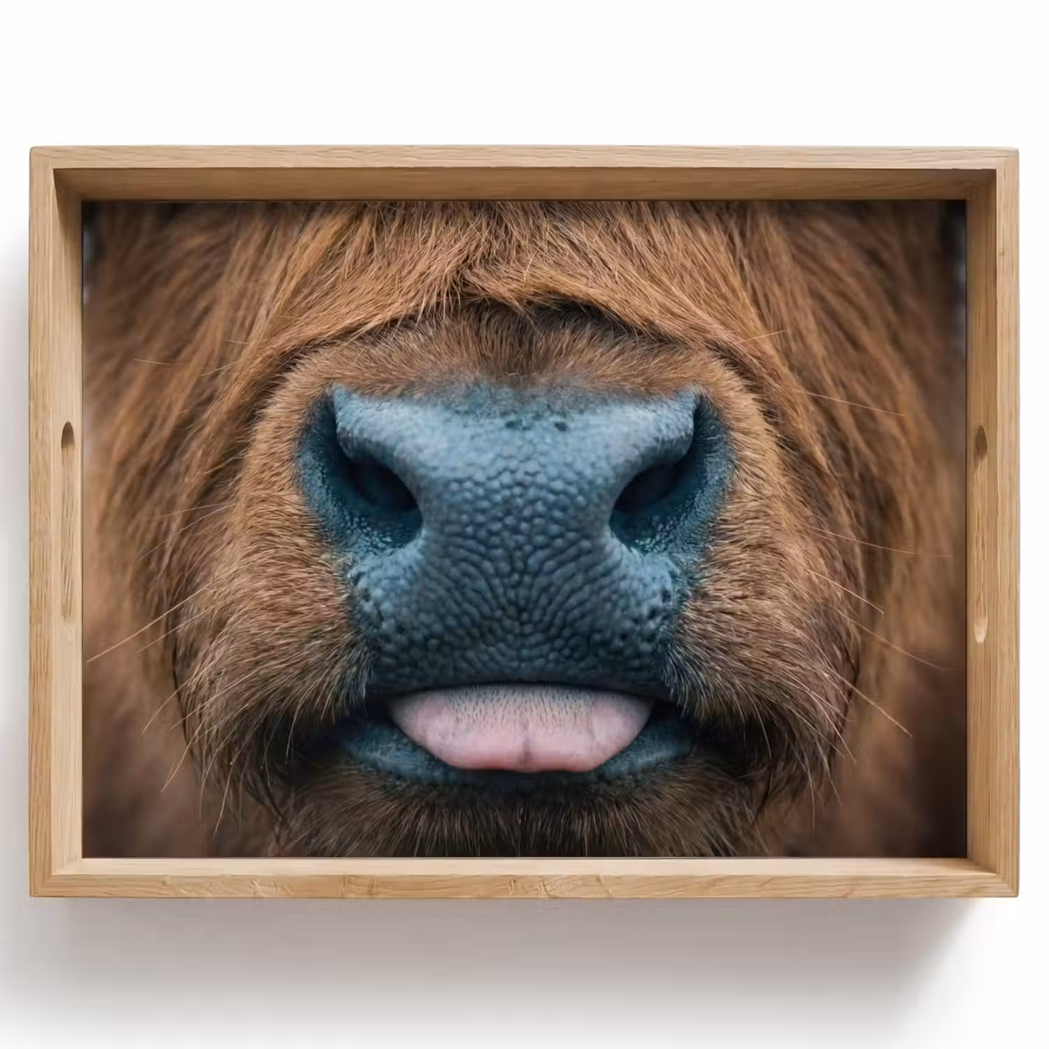Schotse hooglander - Neus - Bruin Dienblad Rechthoek middel -z3d_shopping