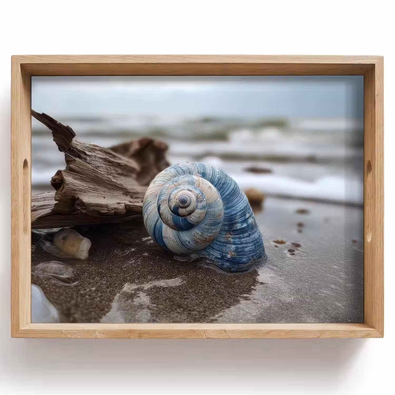 Schelp - Strand - Blauw - Zee Dienblad Rechthoek middel -z3d_shopping