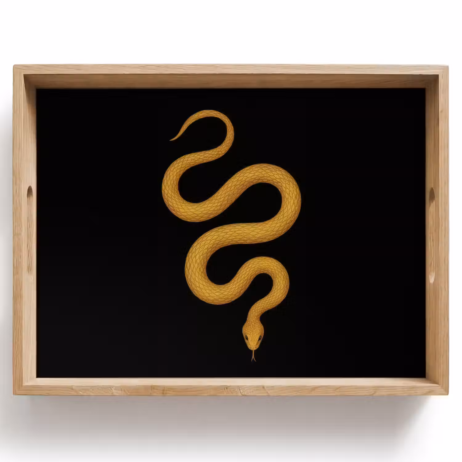 Slang - Minimalistisch - Goud Dienblad Rechthoek middel -z3d_shopping