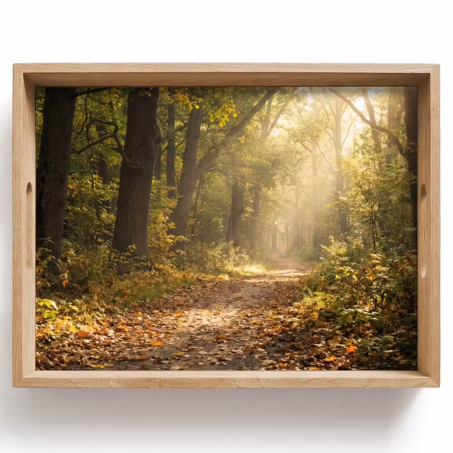 Zonlicht - Bospad - Bomen Dienblad Rechthoek middel -z3d_shopping
