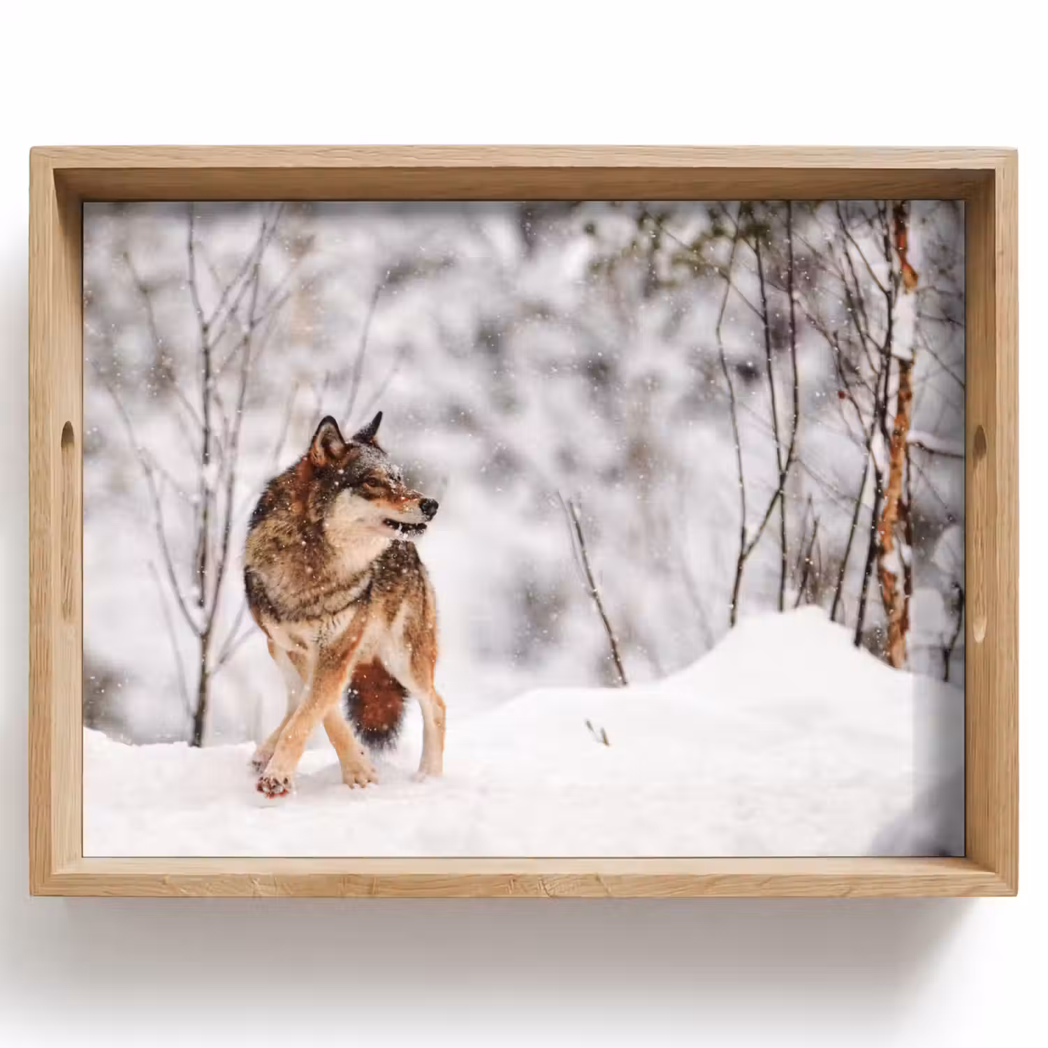 Wolf - Winter - Sneeuw - Natuur - Dieren Dienblad Rechthoek middel -z3d_shopping