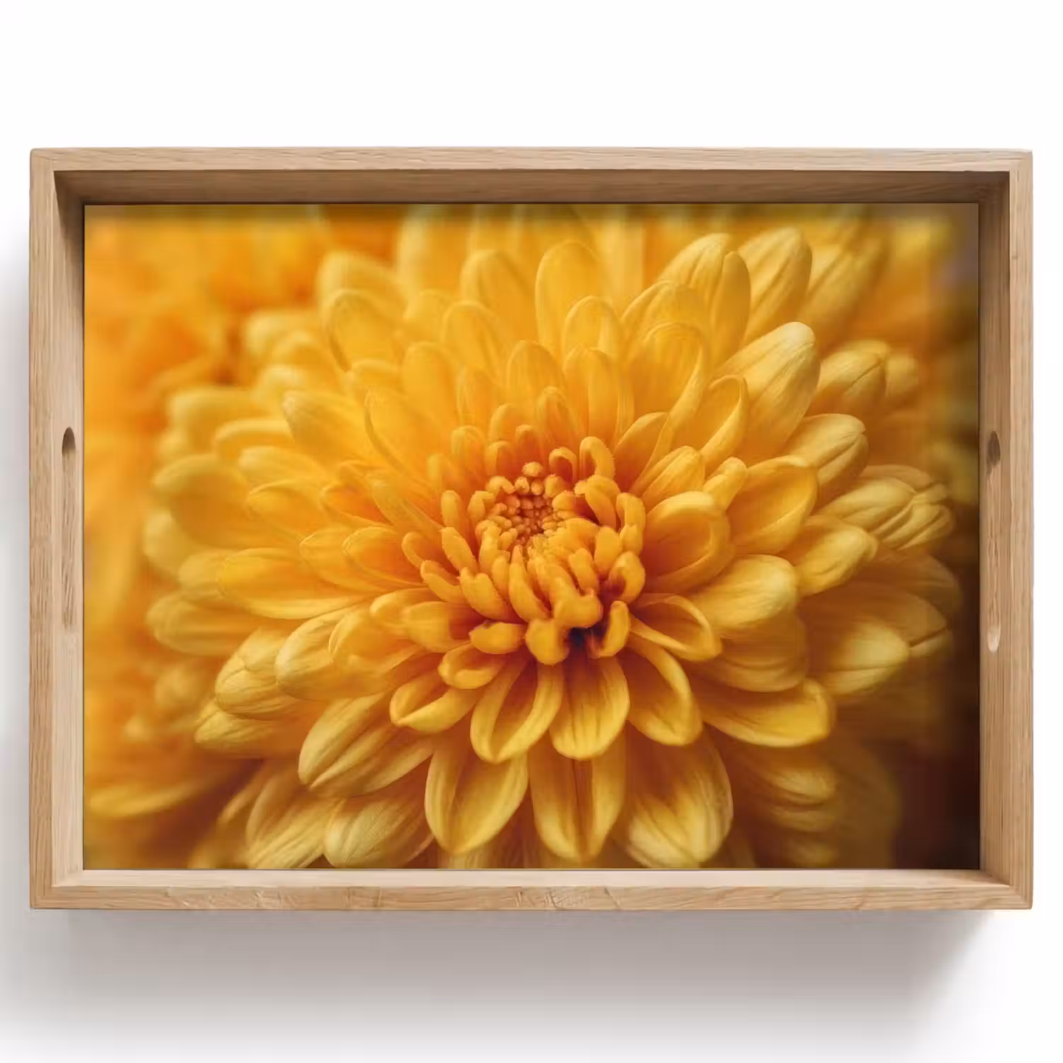 Geel - Chrysant - Zachtheid Dienblad Rechthoek middel -z3d_shopping