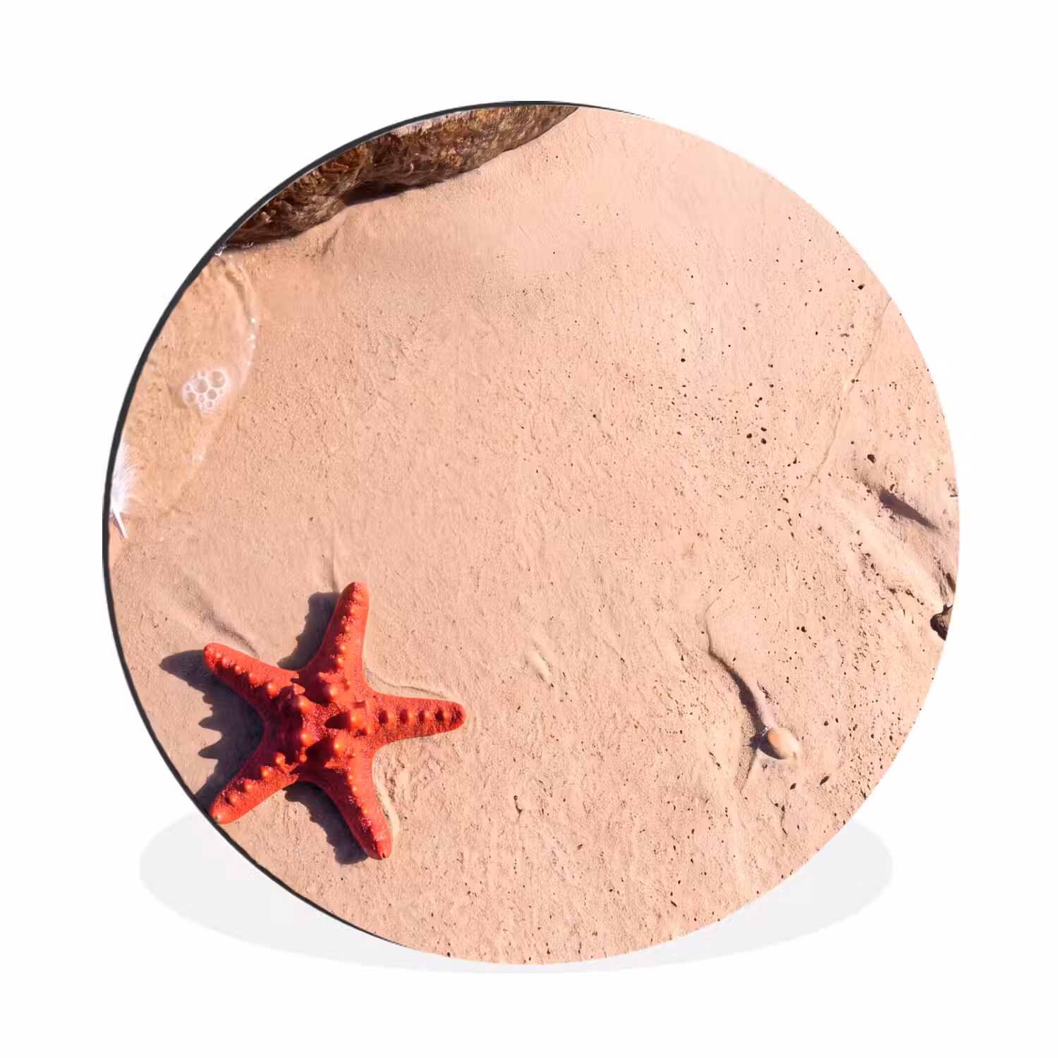 Dieren - Strand - Zee - Natuur - Rood Wandcirkel aluminium klein -3d