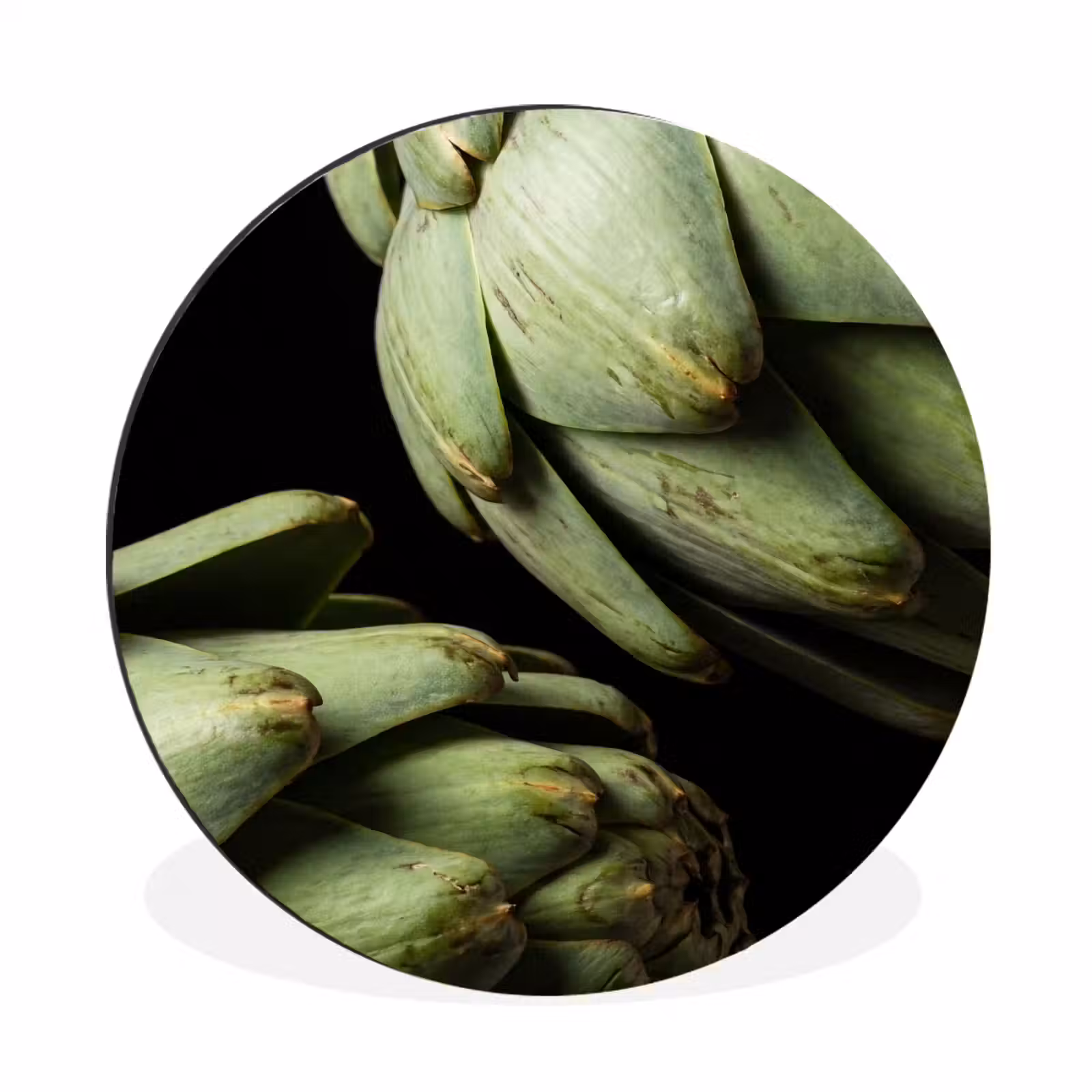 Wall circle - Aluminum - Artichoke - Green - Food - Artisjok - Groen - Eten Wandcirkel aluminium klein