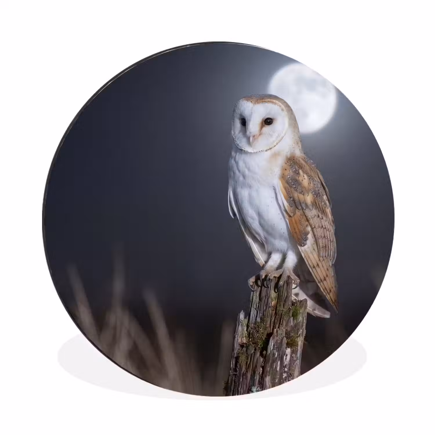Kerkuil - Maan - Nacht Wandcirkel aluminium klein -3d