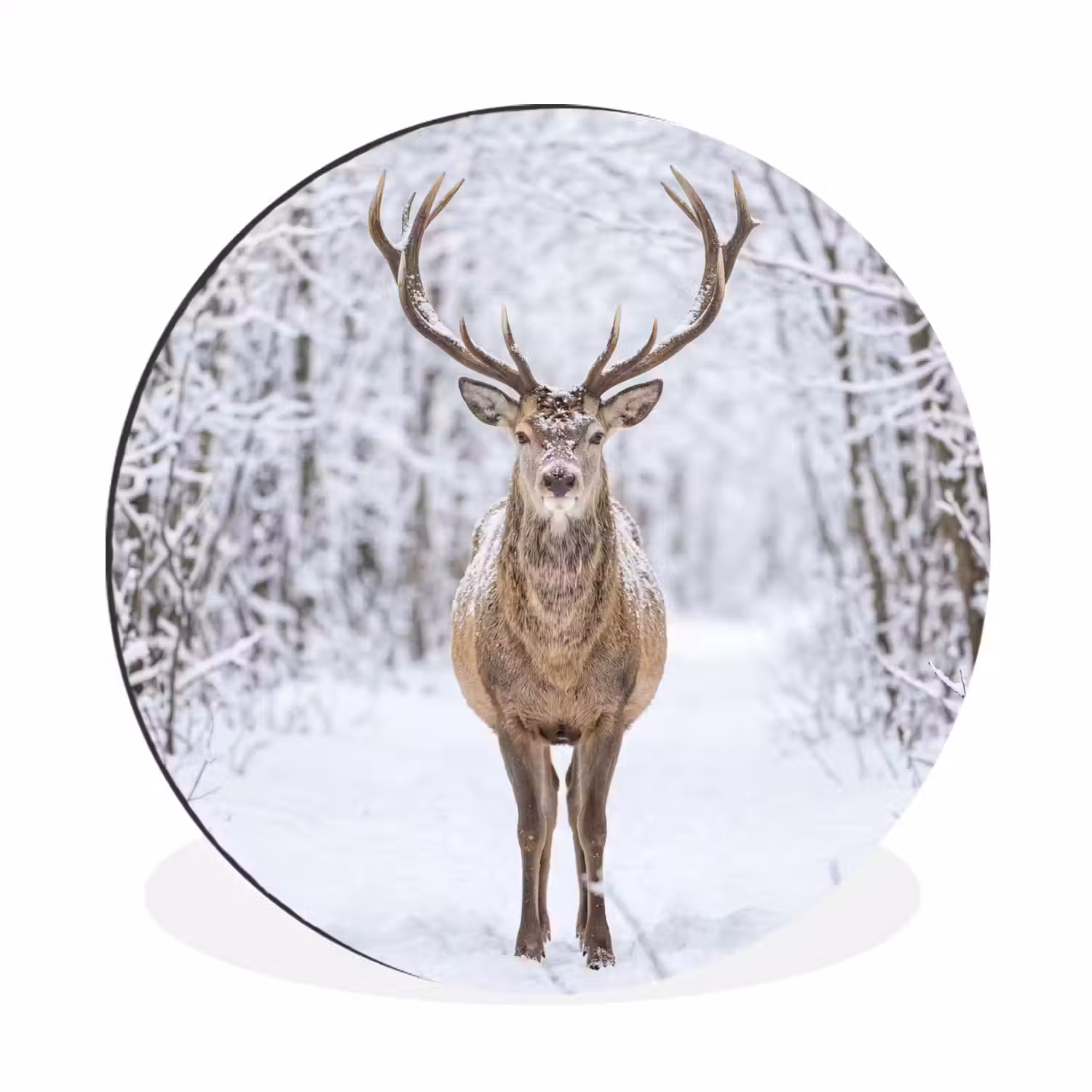 Hert - Winter - Bos - Natuur - Wit Wandcirkel aluminium klein -3d