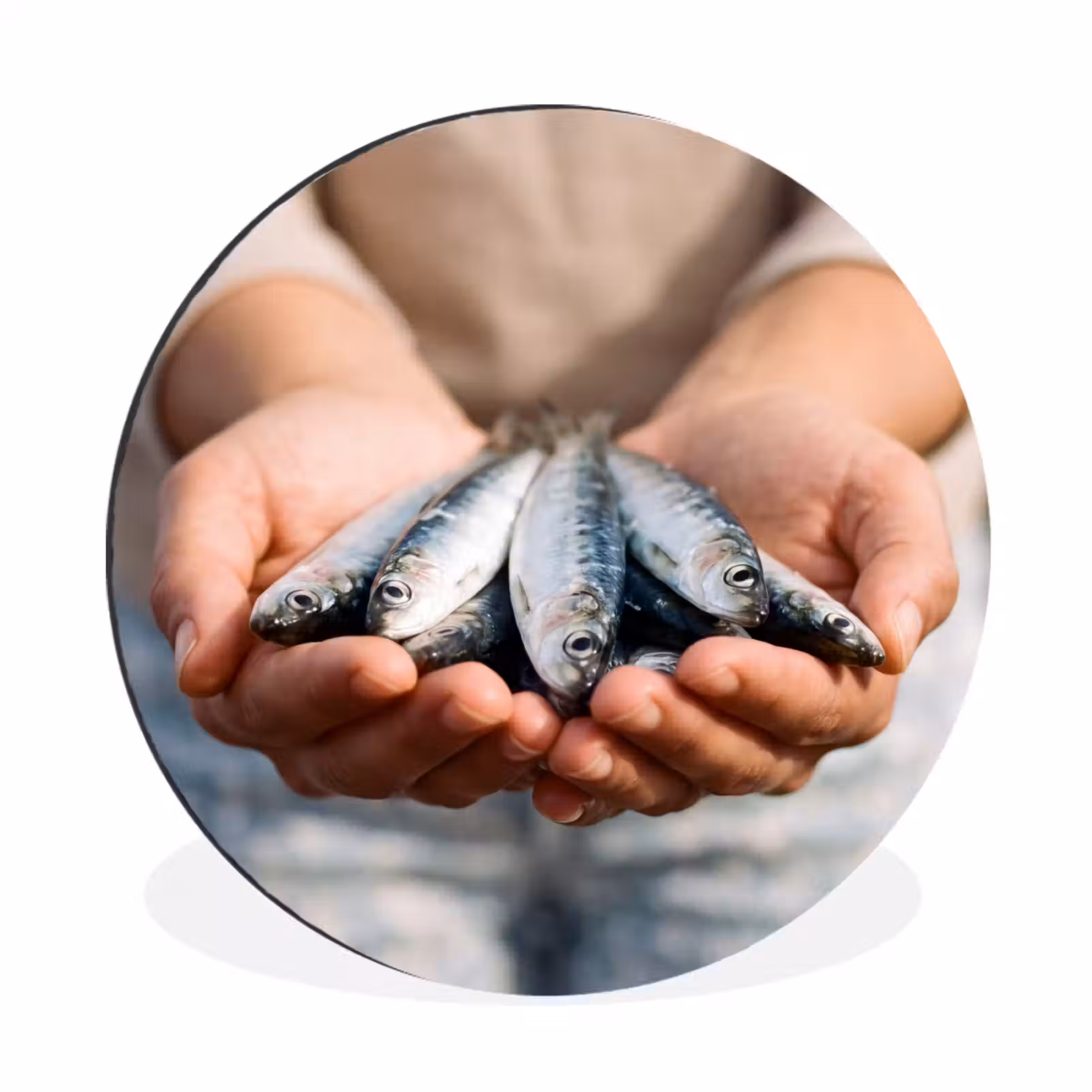 Wall circle - Aluminum - Fish - Hands - Nature - Vis - Handen - Natuur Wandcirkel aluminium klein