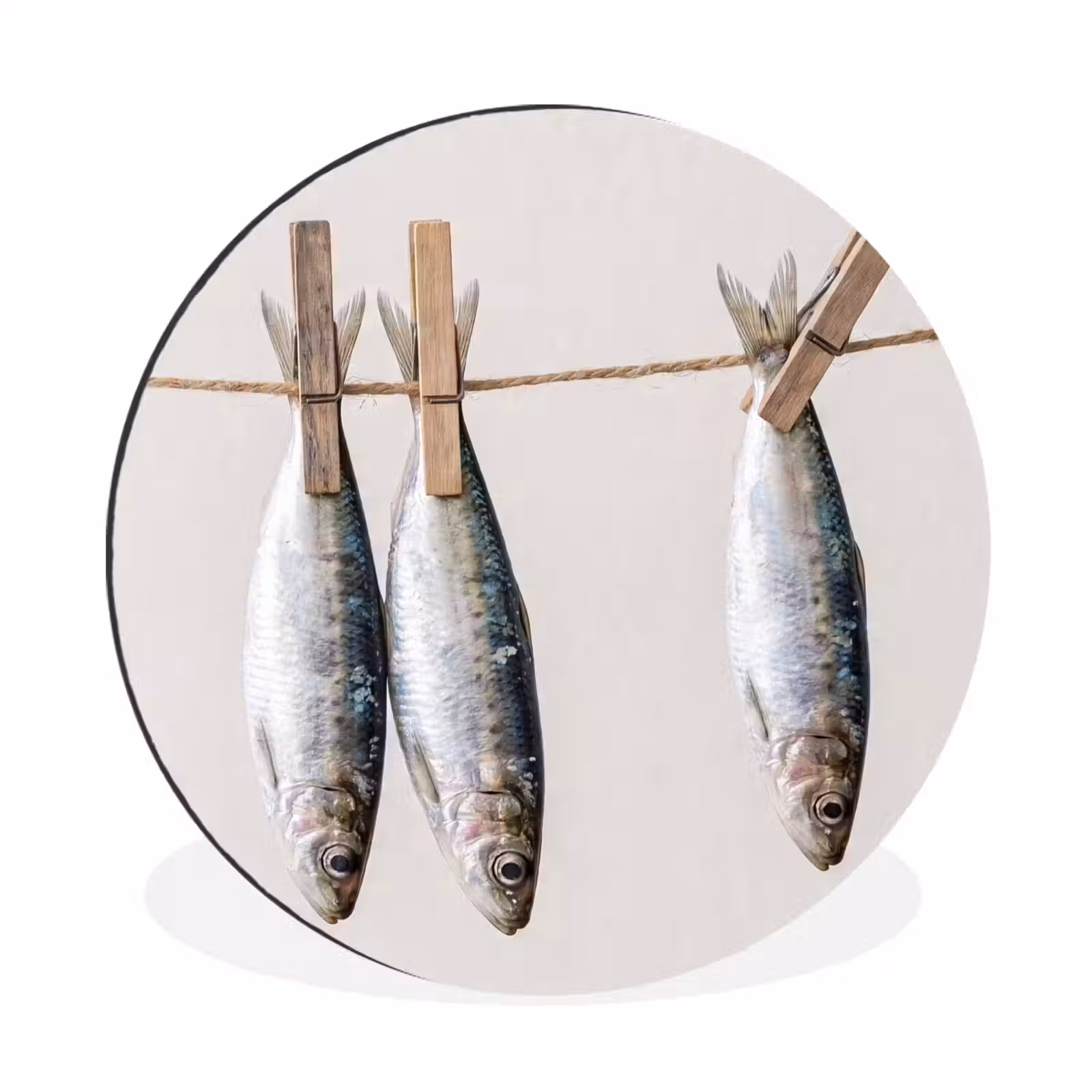 Wall circle - Aluminum - Fish - Hanging - Food - Vis - Hangend - Eten Wandcirkel aluminium klein
