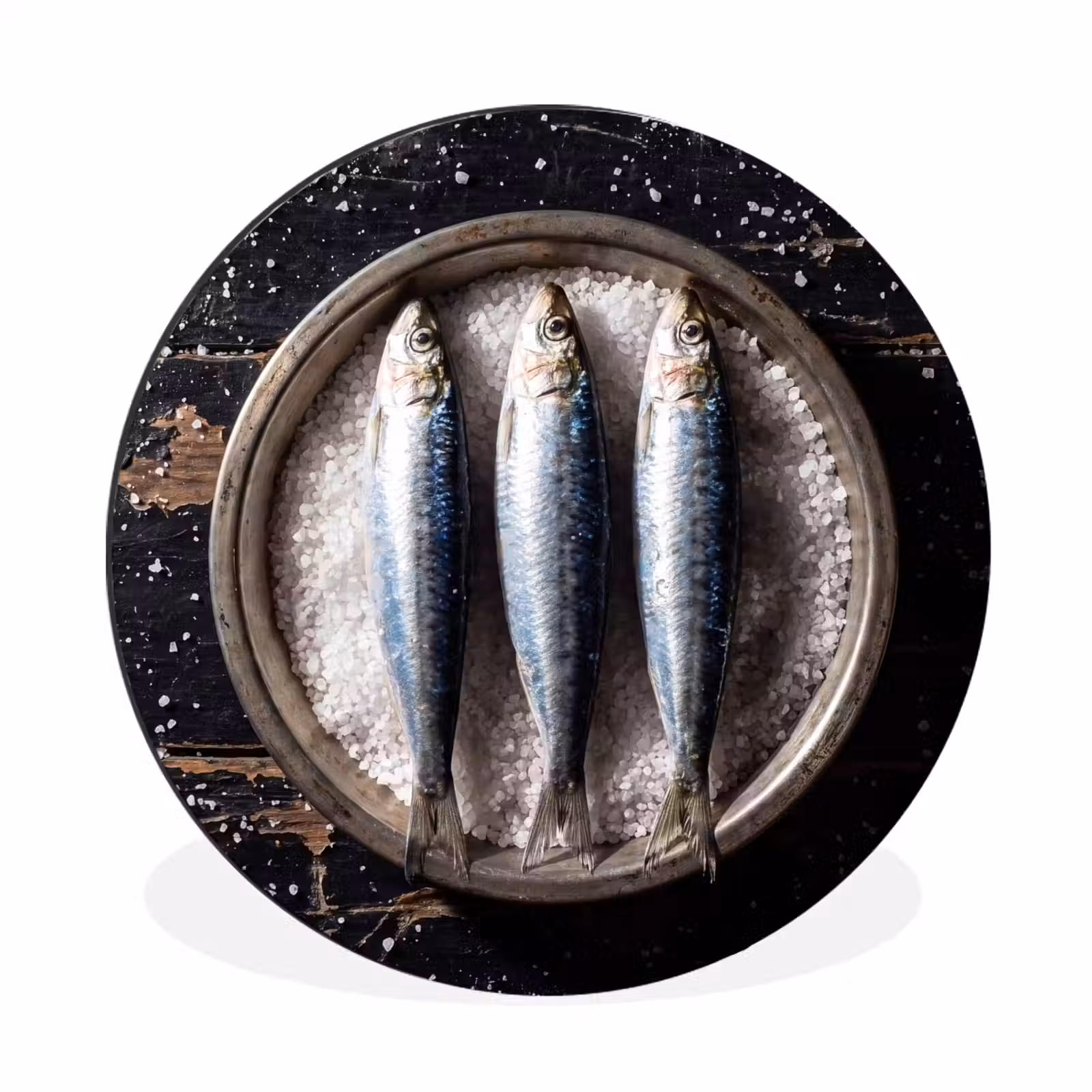 Wall circle - Aluminum - Fish - Salt - Food - Vis - Zout - Eten Wandcirkel aluminium klein
