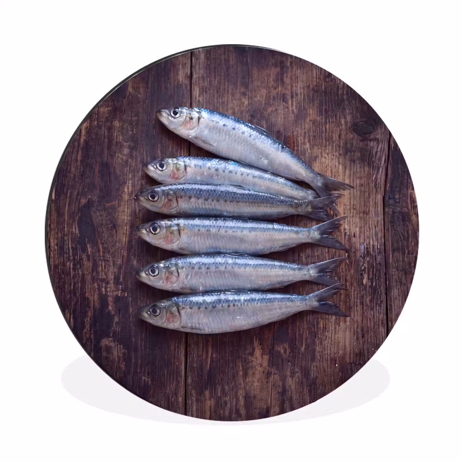 Wall circle - Aluminum - Fish - Wood - Food - Vis - Hout - Eten Wandcirkel aluminium klein