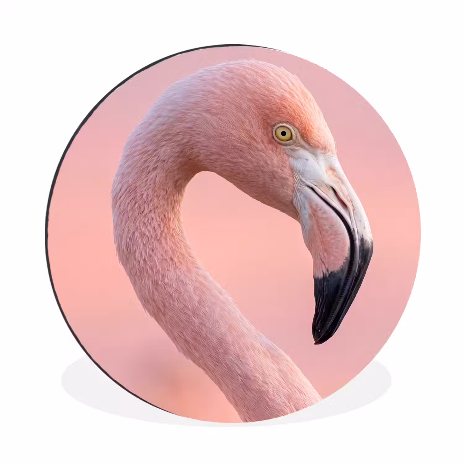 Flamingo - Portret - Roze Wandcirkel aluminium klein -3d