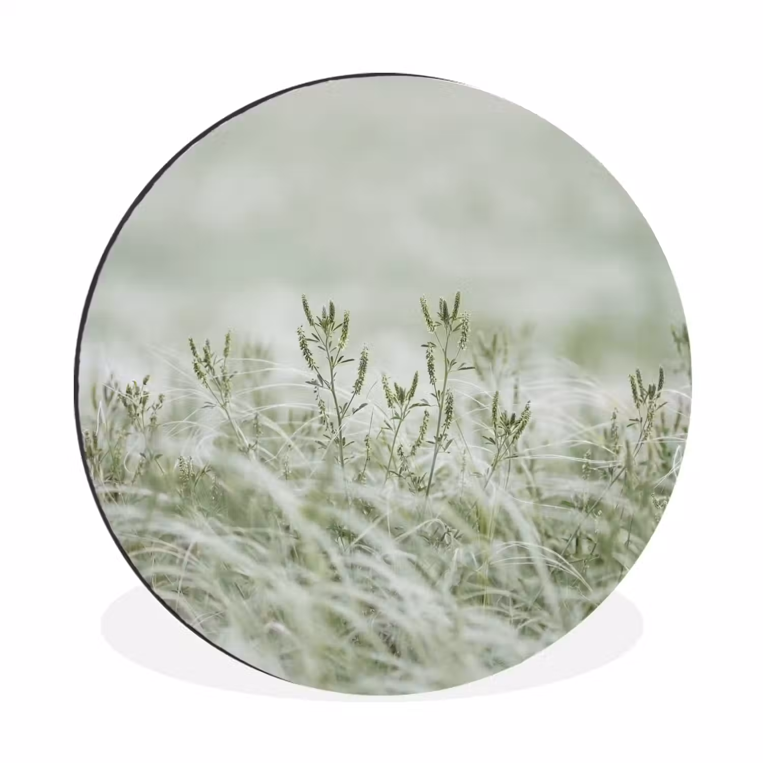 Grassen - Minimalistisch - Groen Wandcirkel aluminium klein -3d