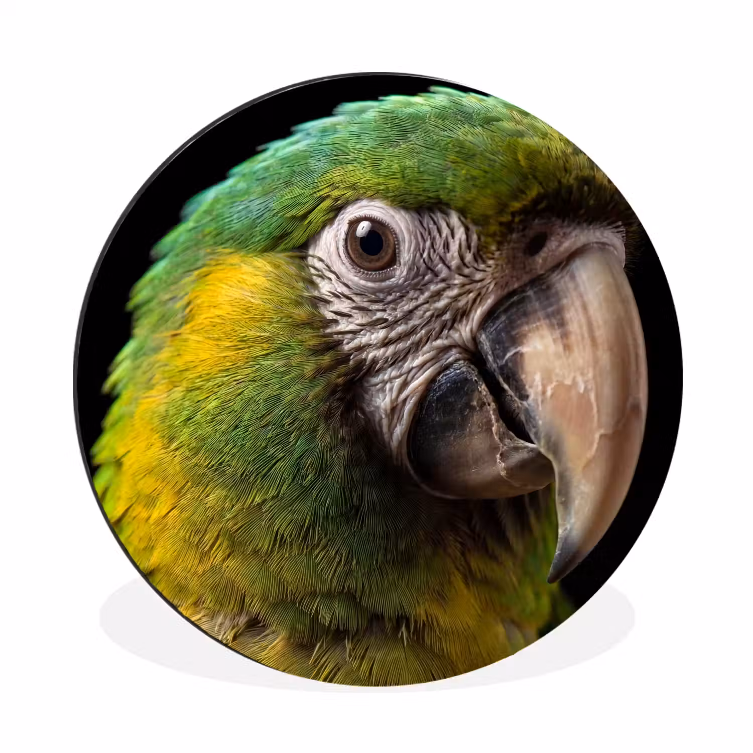 Ara - Portret - Groen Wandcirkel aluminium klein -3d