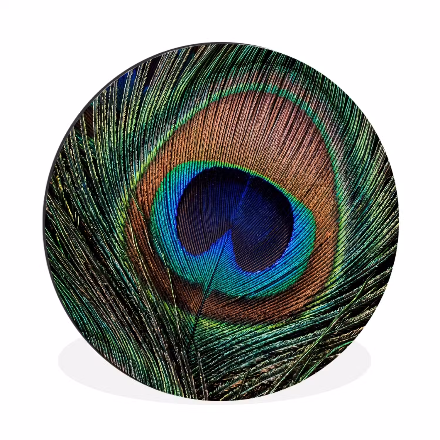 Pauwenveren - Klassiek - Groen Wandcirkel aluminium klein -3d