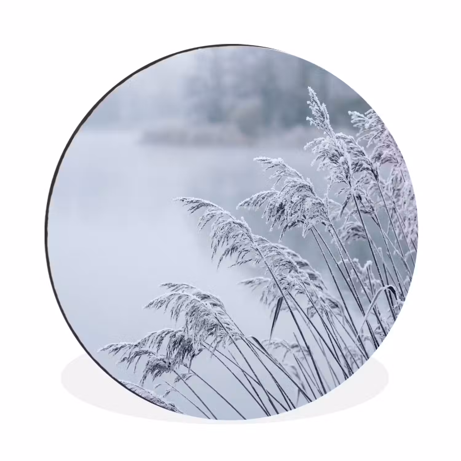 Riet - Bevroren - Winter - Natuur Wandcirkel aluminium klein -3d