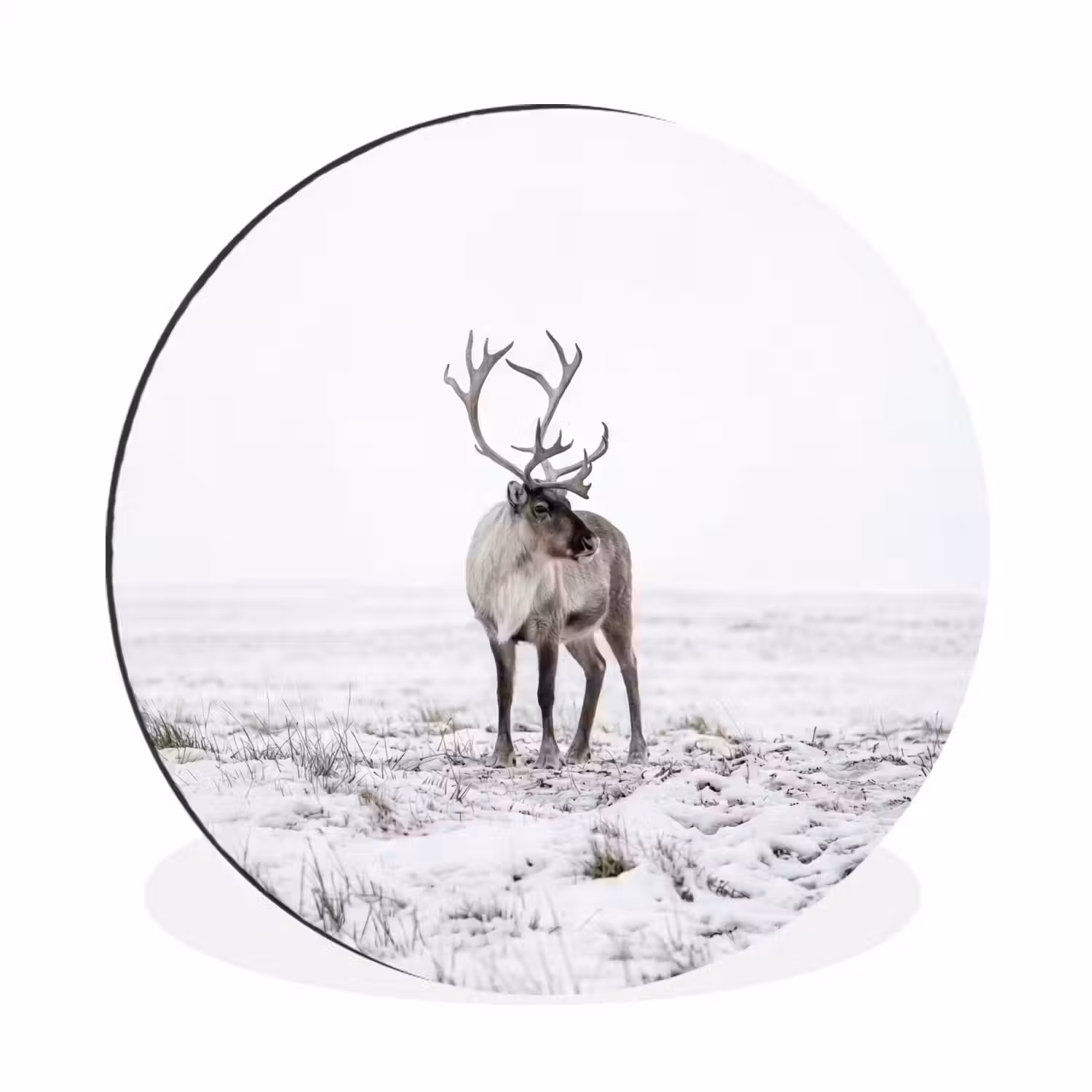 Rendier - Gewei - Sneeuw - Winter Wandcirkel aluminium klein -3d