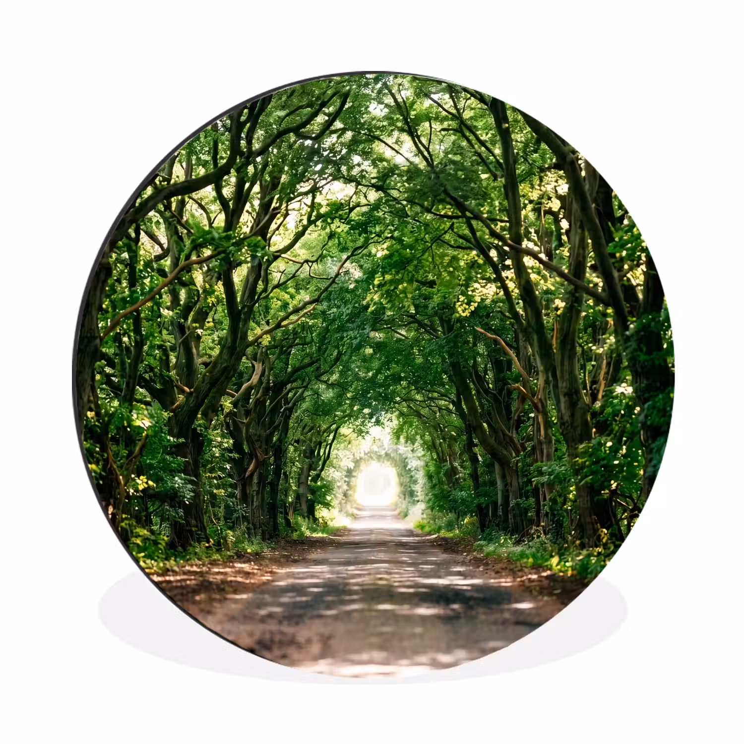 Weg - Bomen - Natuur - Groen Wandcirkel aluminium klein -3d