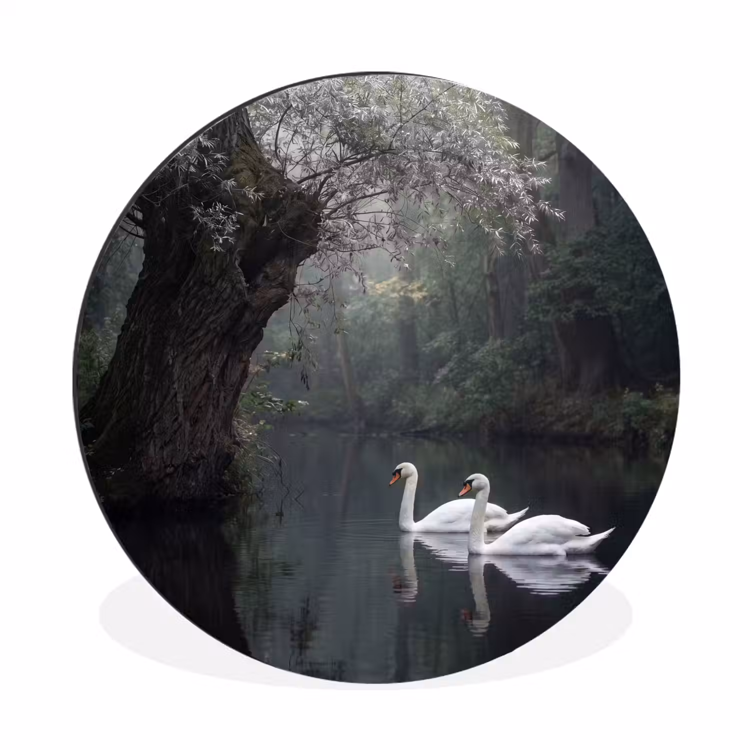Zwanen - Rivier - Bos Wandcirkel aluminium klein -3d