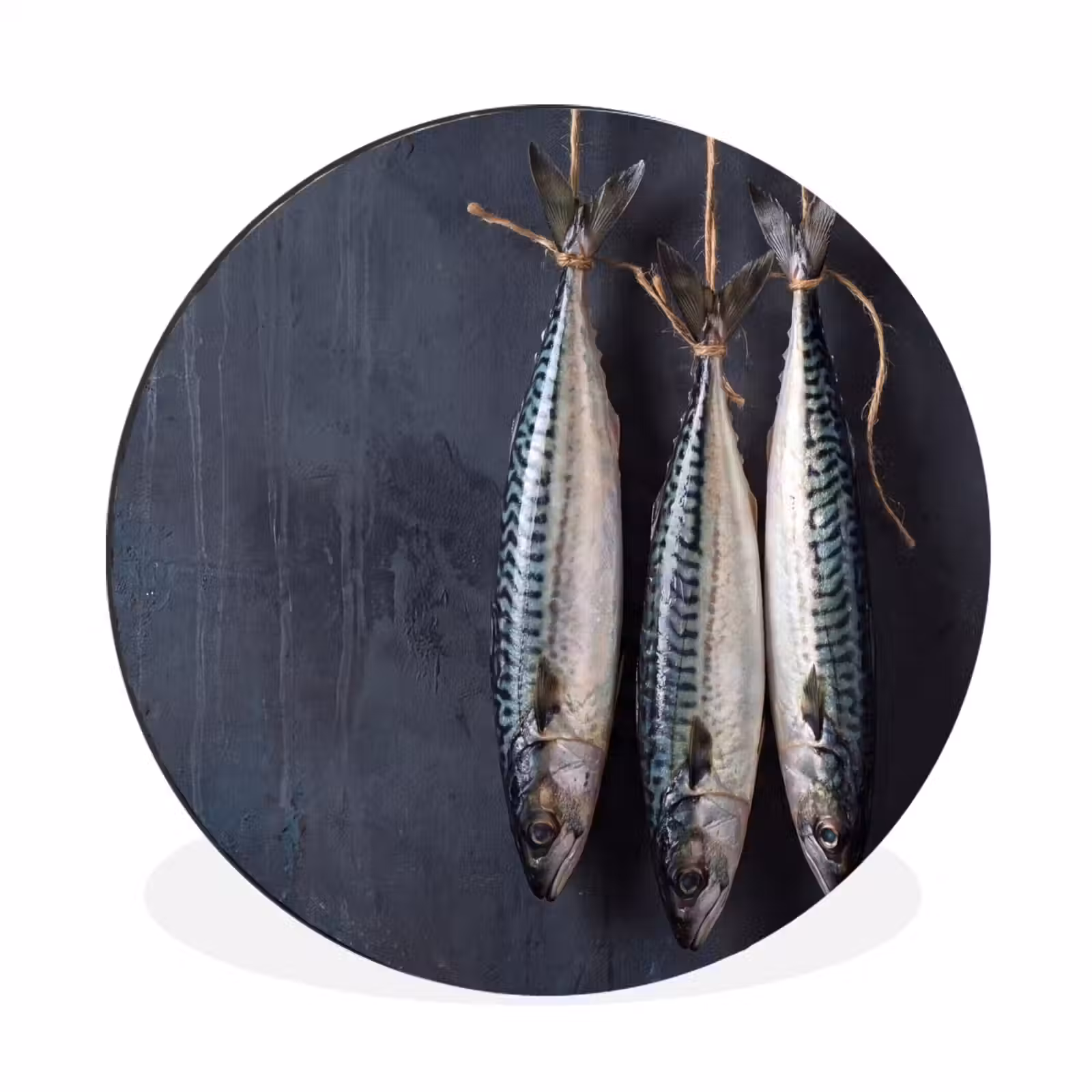 Wall circle - Aluminum - Three Fish - Rope - Drie vissen - Touw Wandcirkel aluminium klein