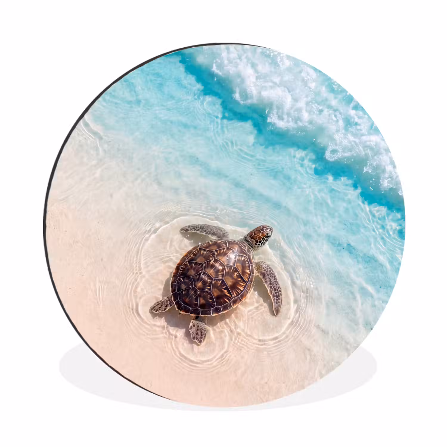 Schildpad - Helder water - Strand - Dieren - Natuur Wandcirkel aluminium klein -3d