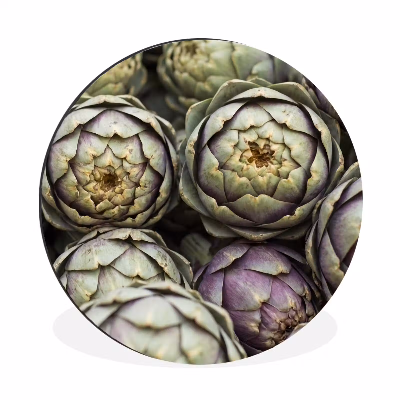 Wall circle - Aluminum - Vegetables - Fresh - Food - Groenten - Vers - Eten Wandcirkel aluminium klein