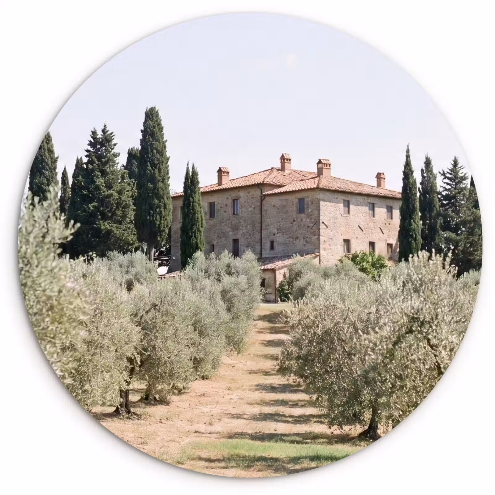Wall circle - Glass - Country house - olive tree - orchard - Landhuis - olijfboom - gaard Wandcirkel plexiglas klein