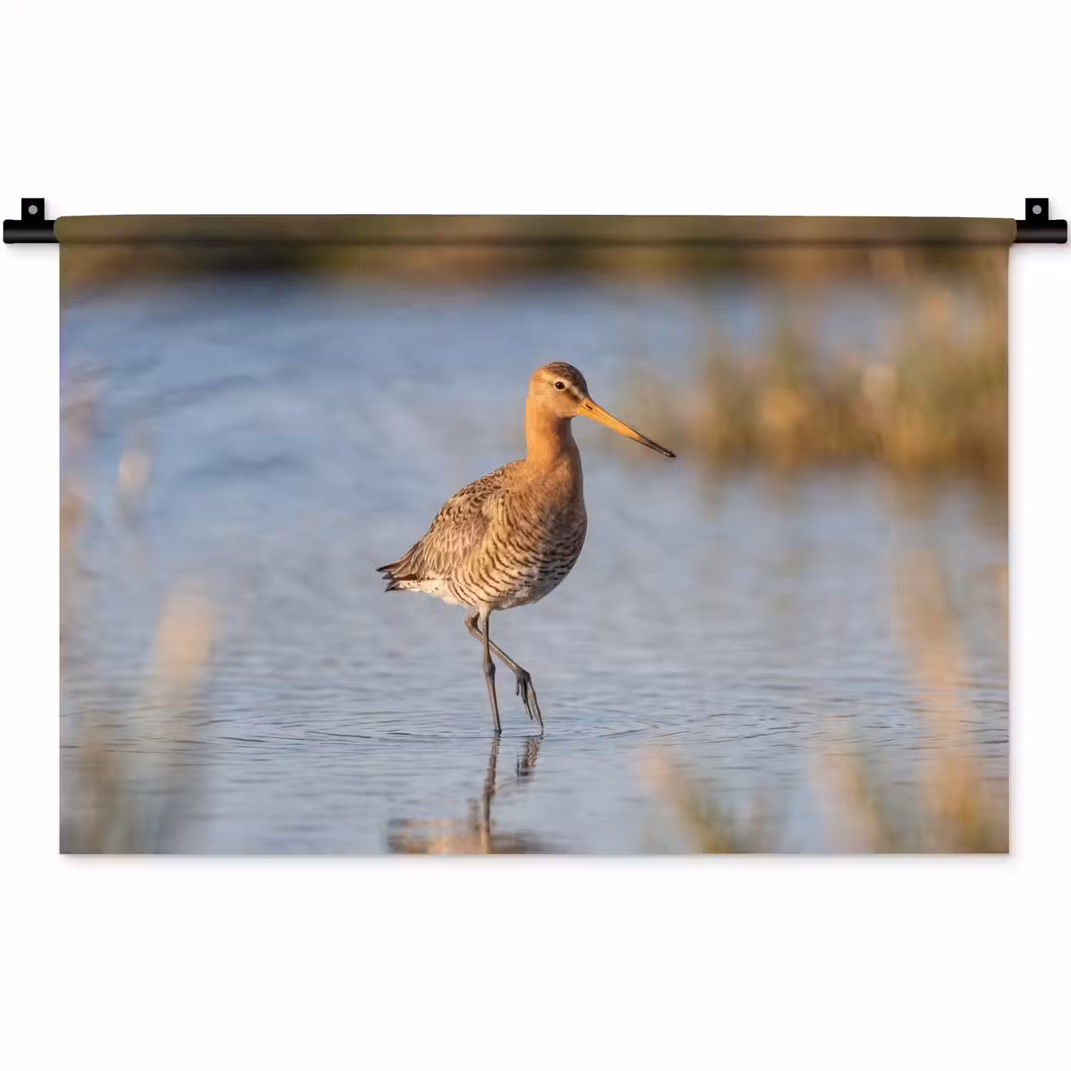 Vogel - Steltloper - Water - Natuur Wandkleed katoen klein -zz3d