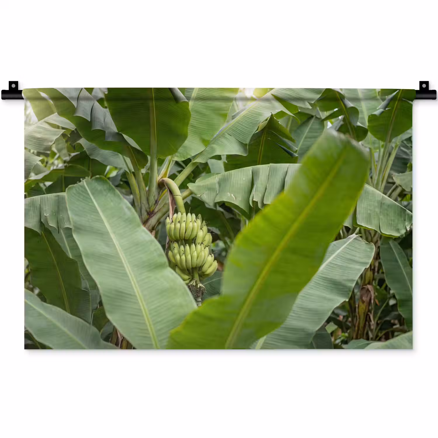 Eten - Bananen - Plantage - Groen Wandkleed katoen klein -zz3d
