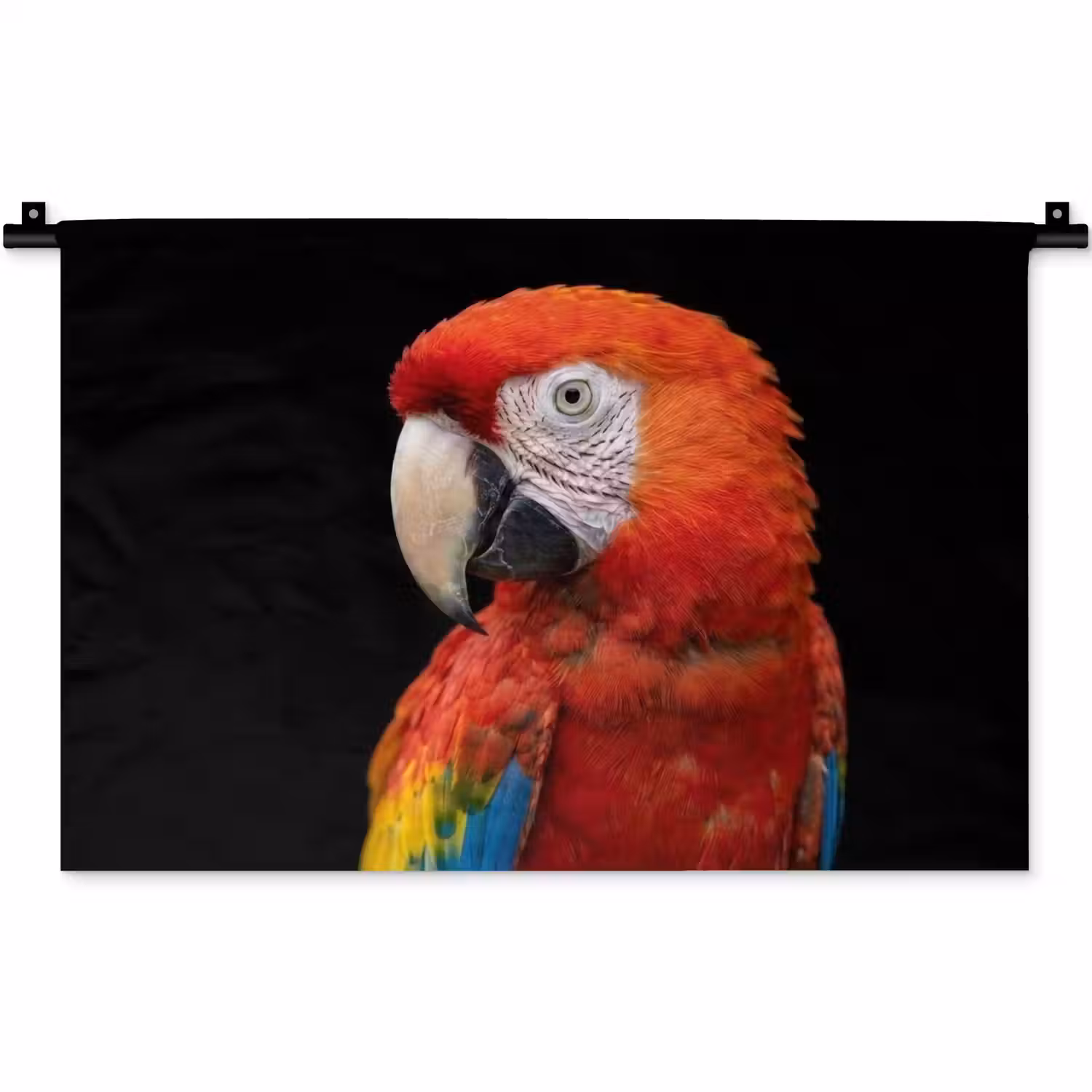 Ara - Portret - Rood Wandkleed katoen klein -zz3d