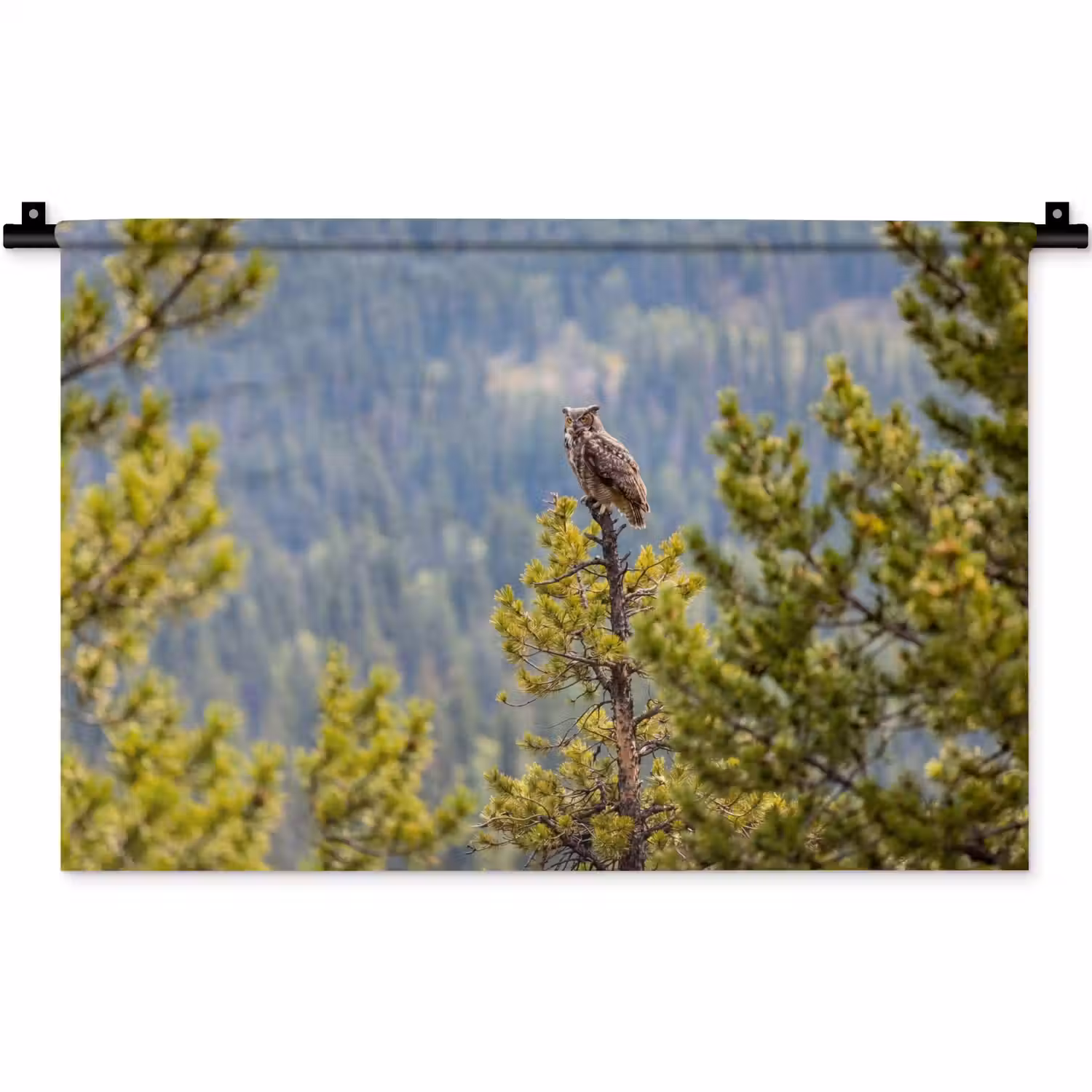 Uil - Oehoe - Bomen - Natuur Wandkleed katoen klein -zz3d