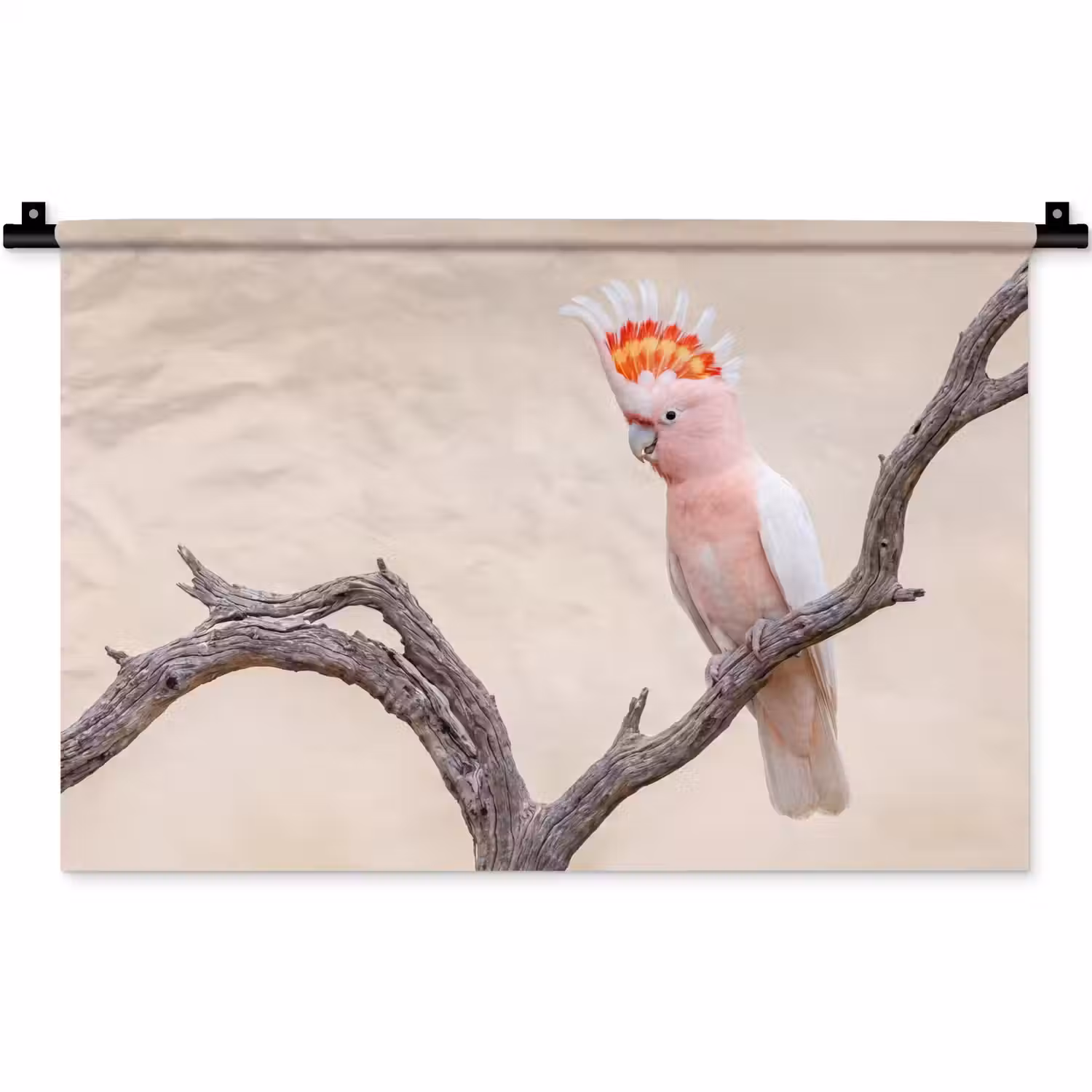 Papagaai - Tak - Roze Wandkleed katoen klein -zz3d
