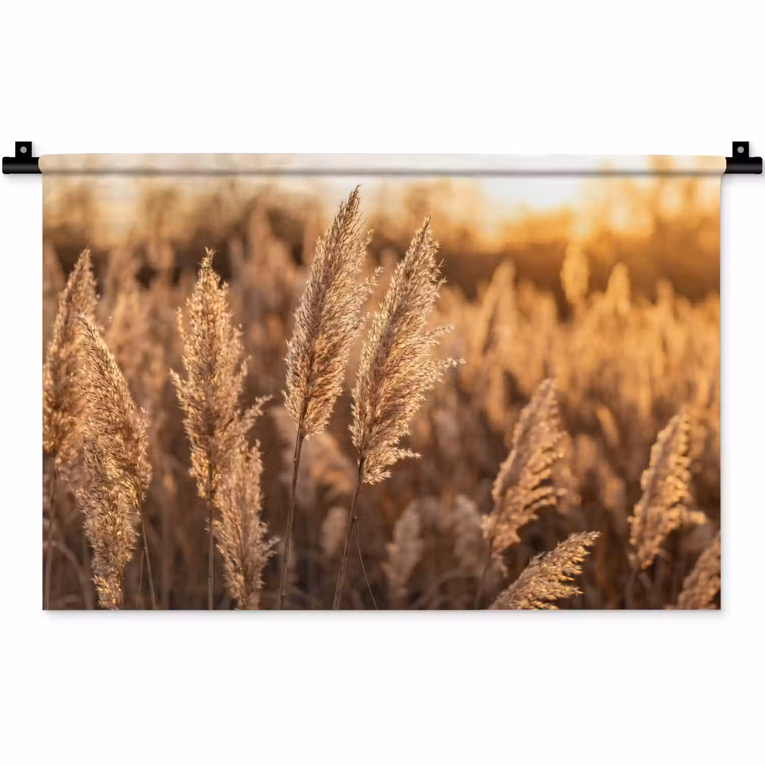Rietpluimen - Gras - Zonsondergang - Goud - Serene Wandkleed katoen klein -zz3d