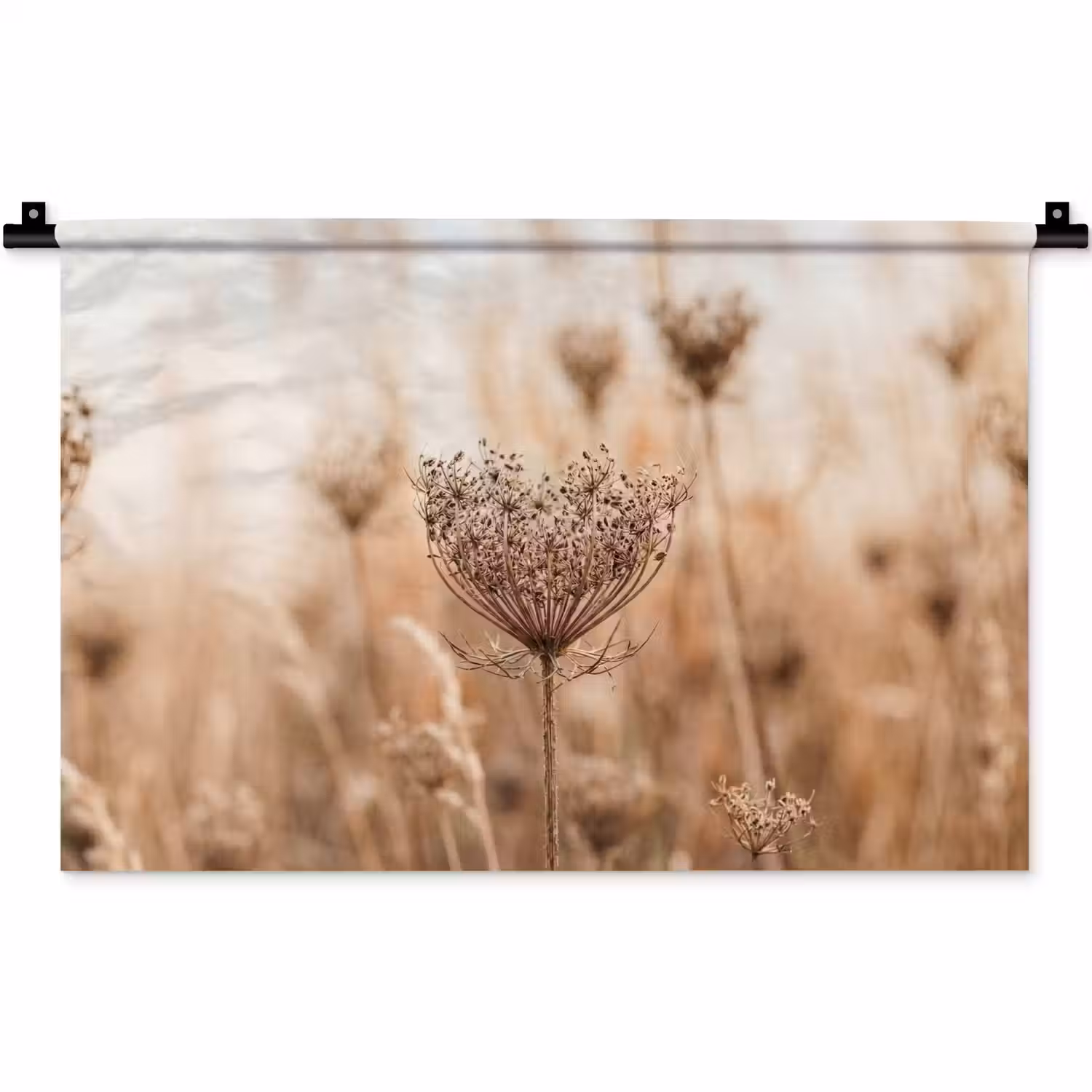 Schermbloem - Droogbloem - Winter - Beige - Minimalistisch Wandkleed katoen klein -zz3d