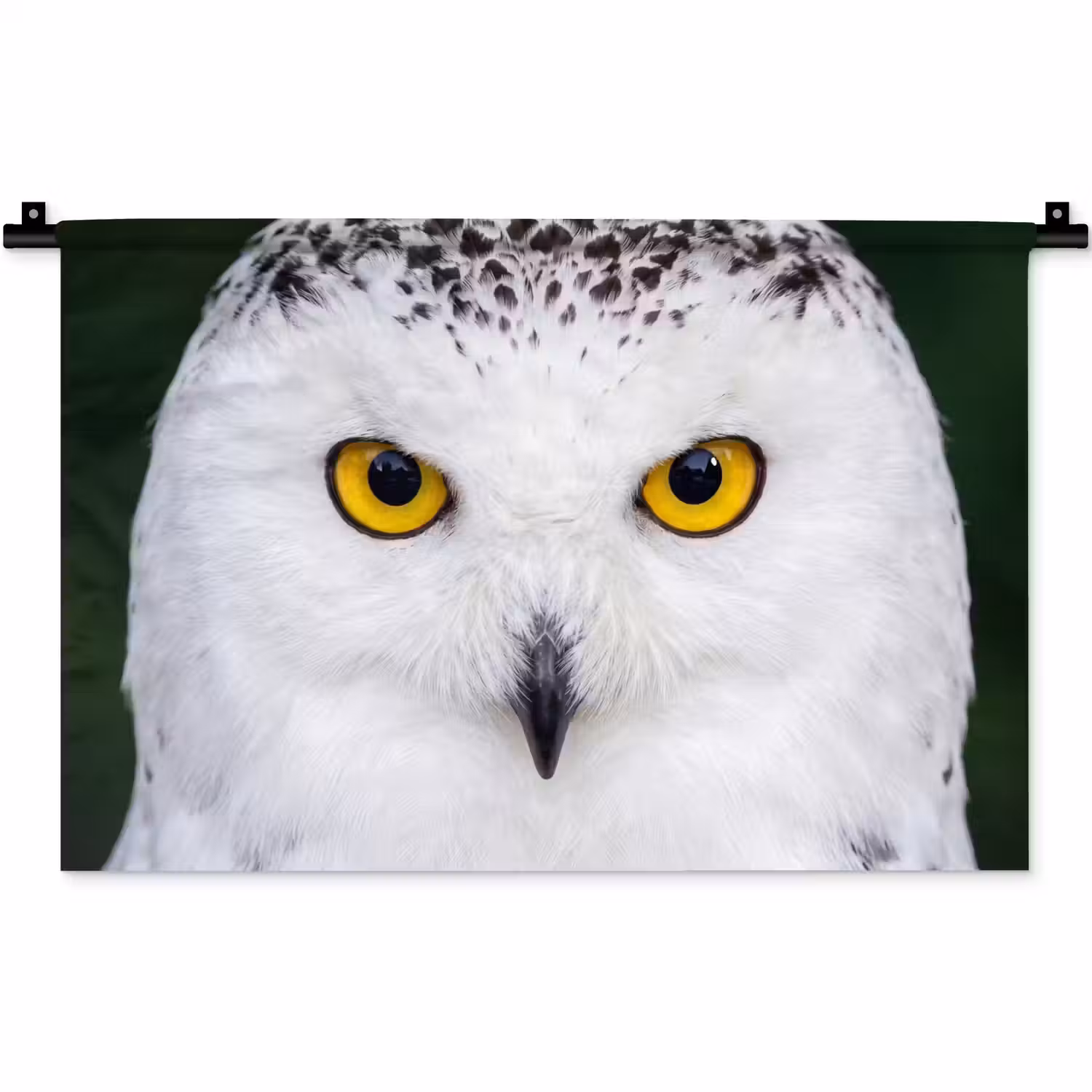Sneeuwuil - Portret - Geel Wandkleed katoen klein -zz3d