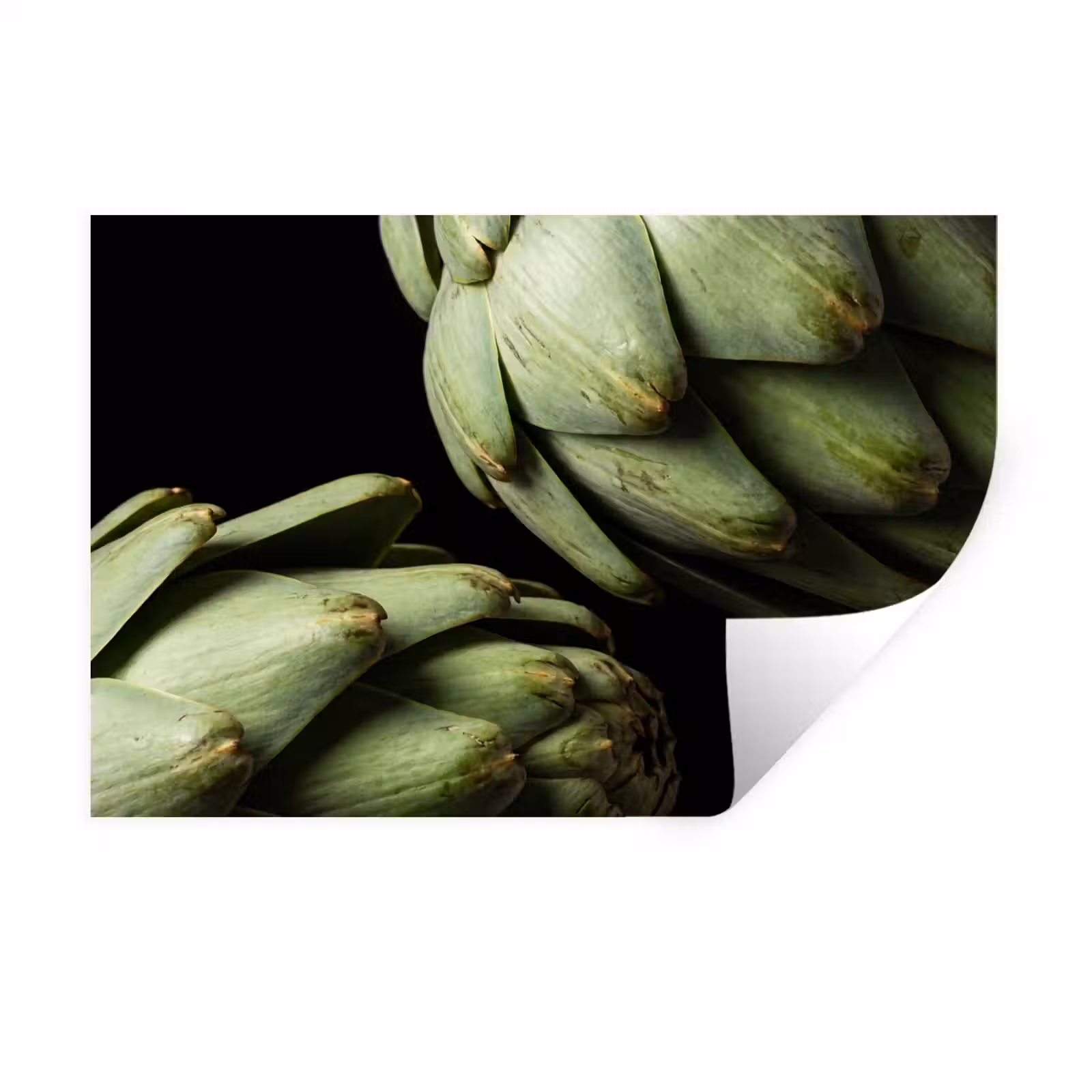 Wall Sticker - Artichoke - Green - Food - Artisjok - Groen - Eten Muursticker klein