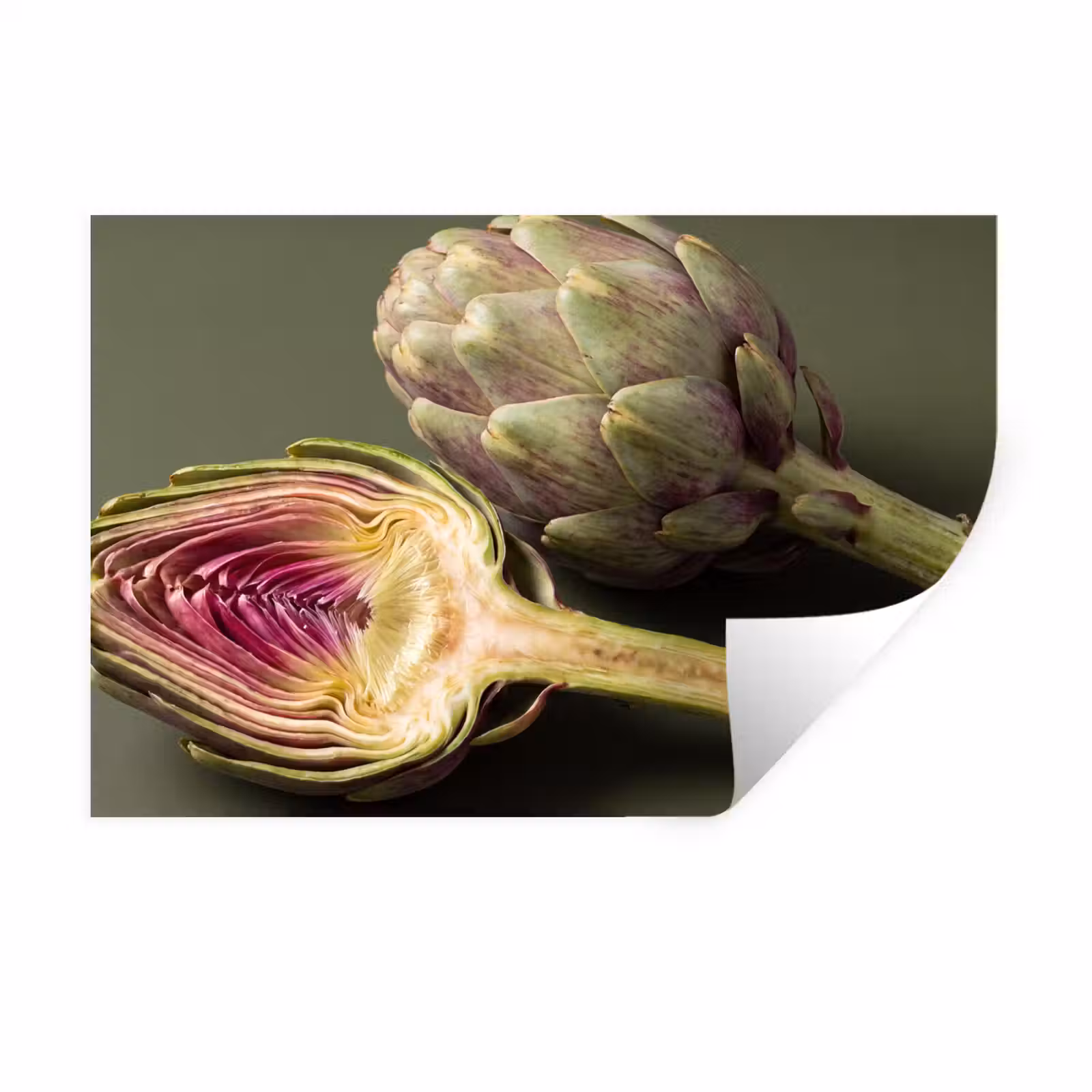 Wall Sticker - Artichoke - Purple - Food - Artisjok - Paars - Voedsel Muursticker klein