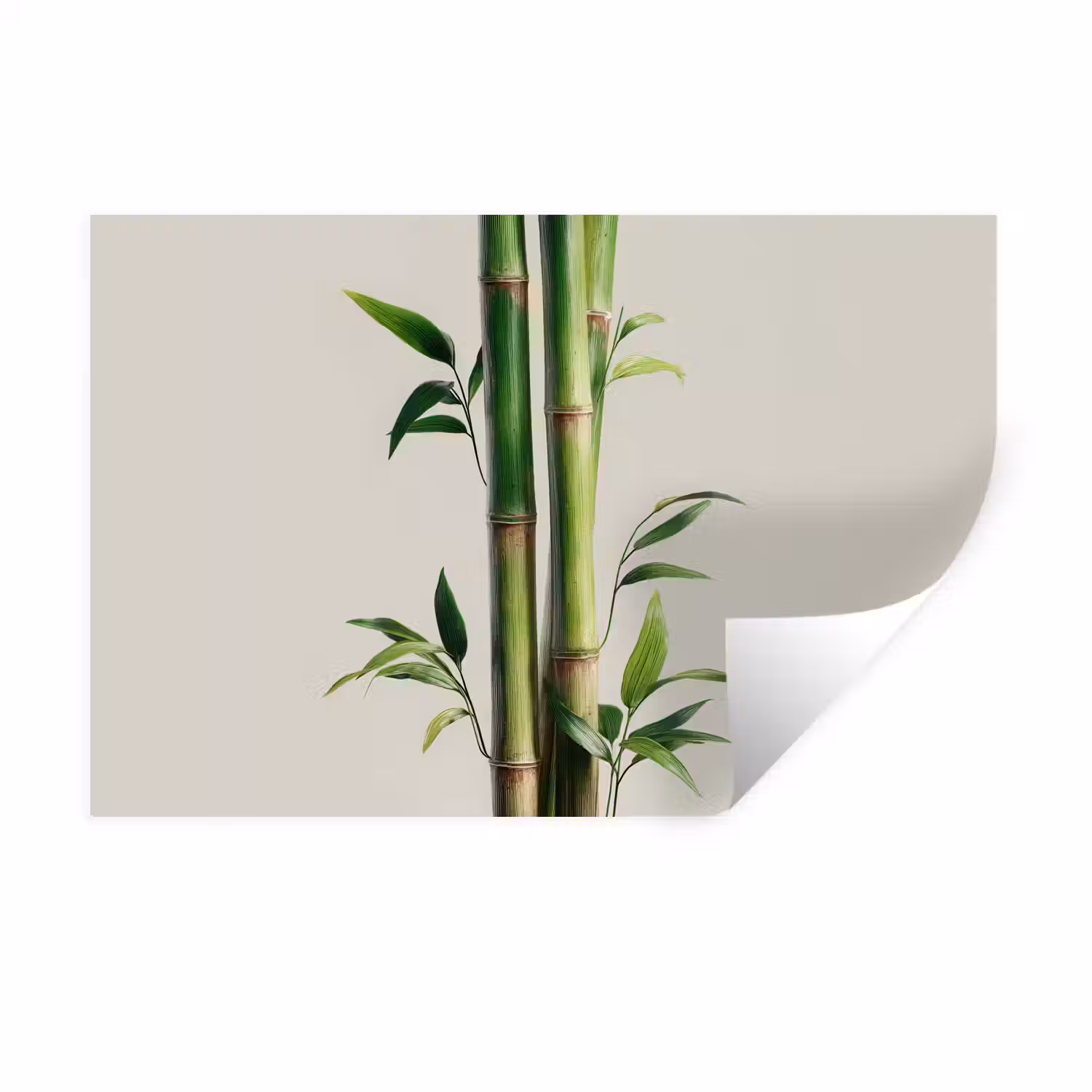 Bamboestengels - Sierlijk - Groen Muursticker klein -3d