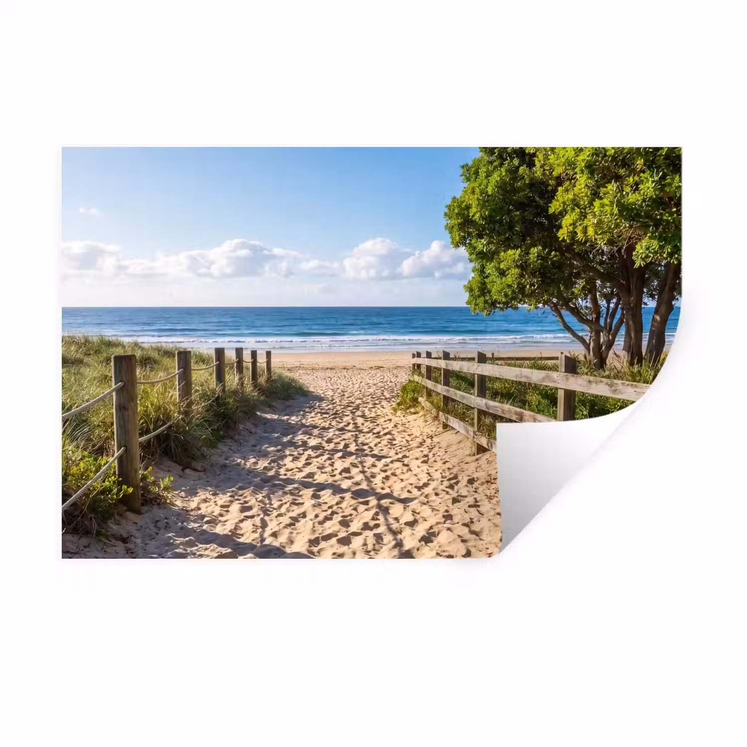 Strand - Zandpad - Oceaan - Natuur Muursticker klein -3d