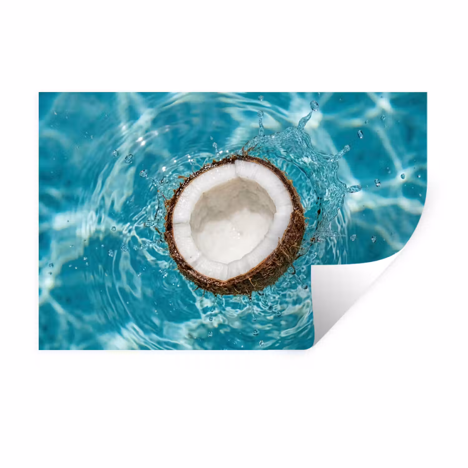 Kokosnoot - Water - Wit Muursticker klein -3d