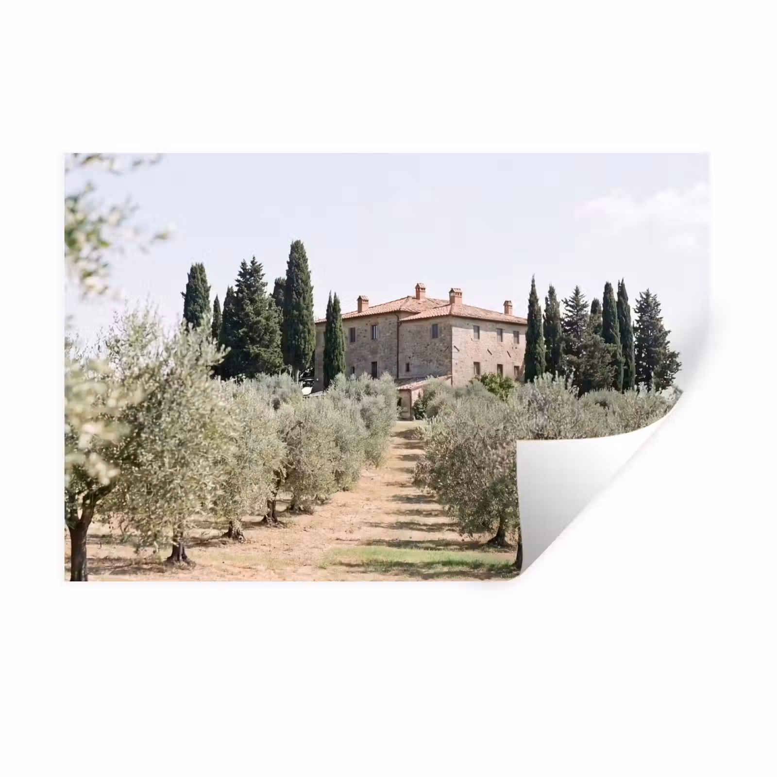 Wall Sticker - Country house - olive tree - orchard - Landhuis - olijfboom - gaard Muursticker klein