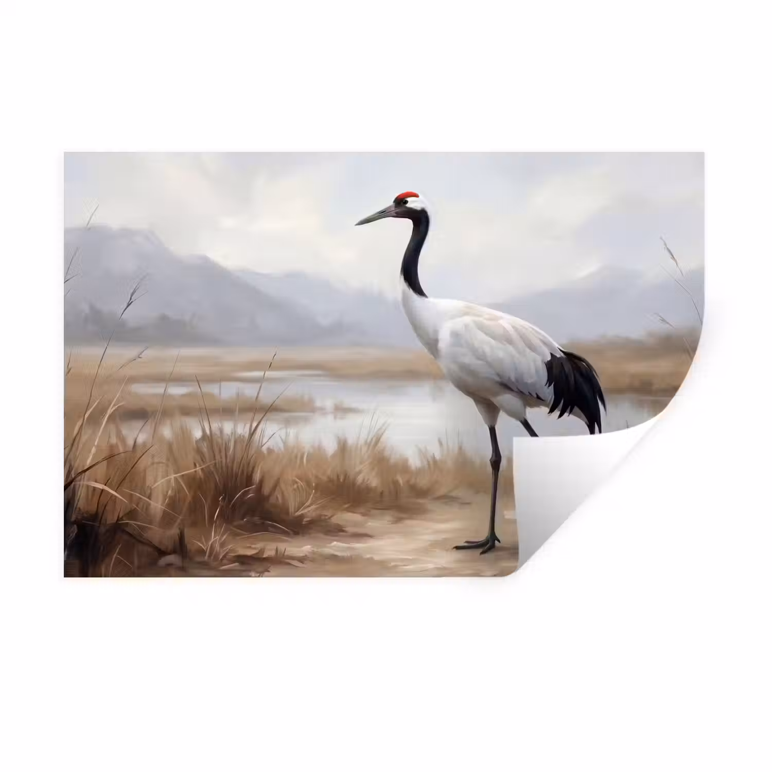 Kraanvogel - Natuur - Realistisch Muursticker klein -3d