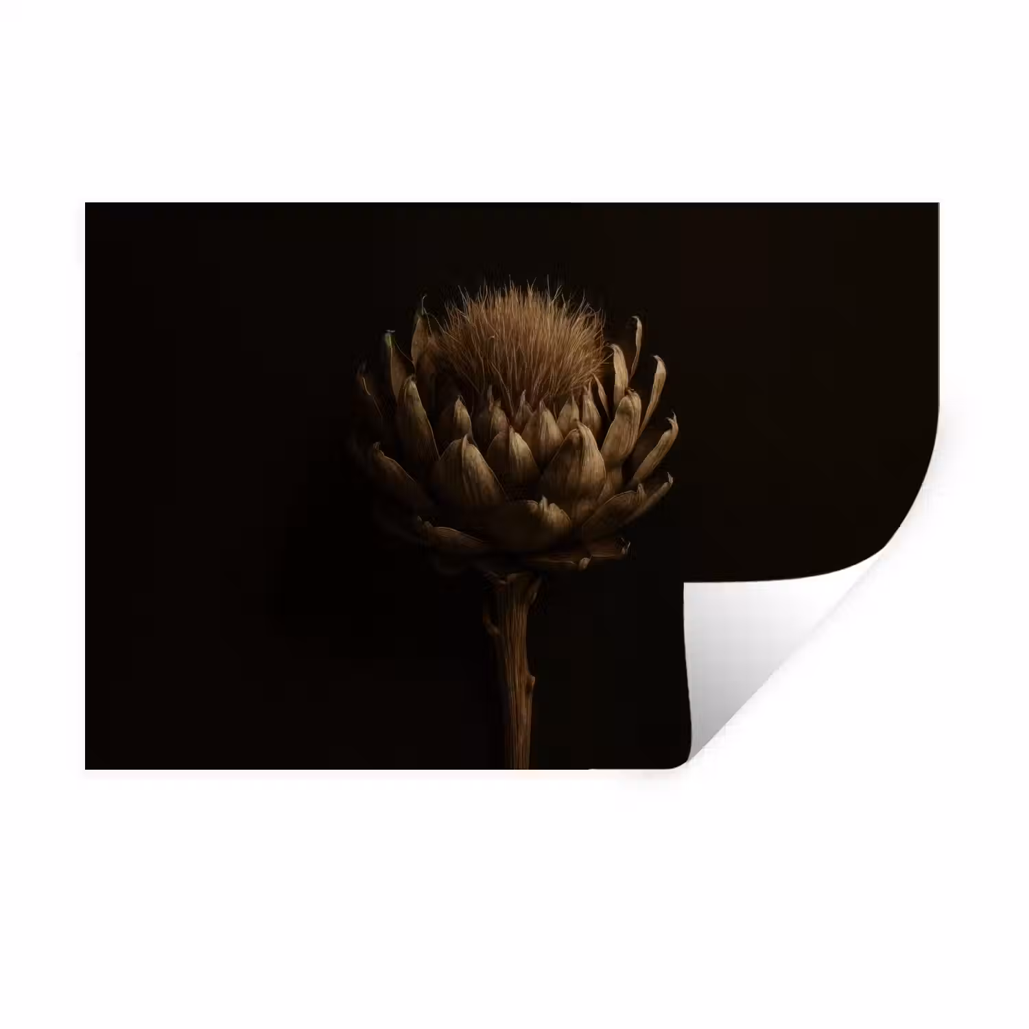 Donkerbruin - Bloem - Textuur - Artisjok Muursticker klein -3d