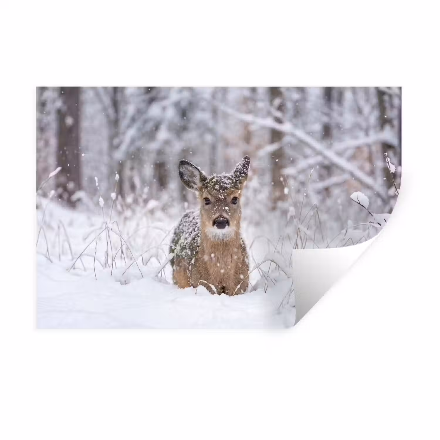 Hert - Sneeuw - Bos - Dieren - Vertederend Muursticker klein -3d
