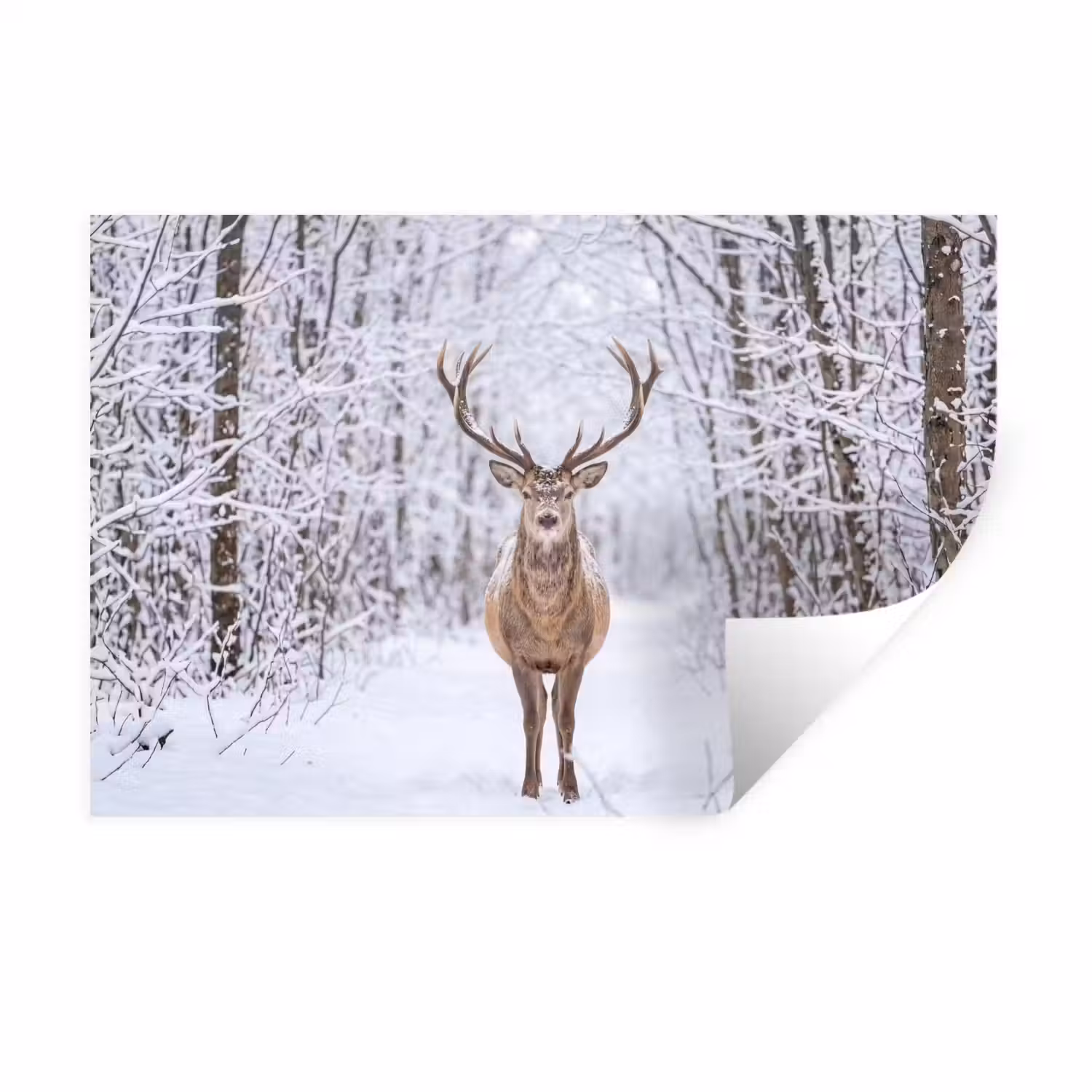 Hert - Winter - Bos - Natuur - Wit Muursticker klein -3d