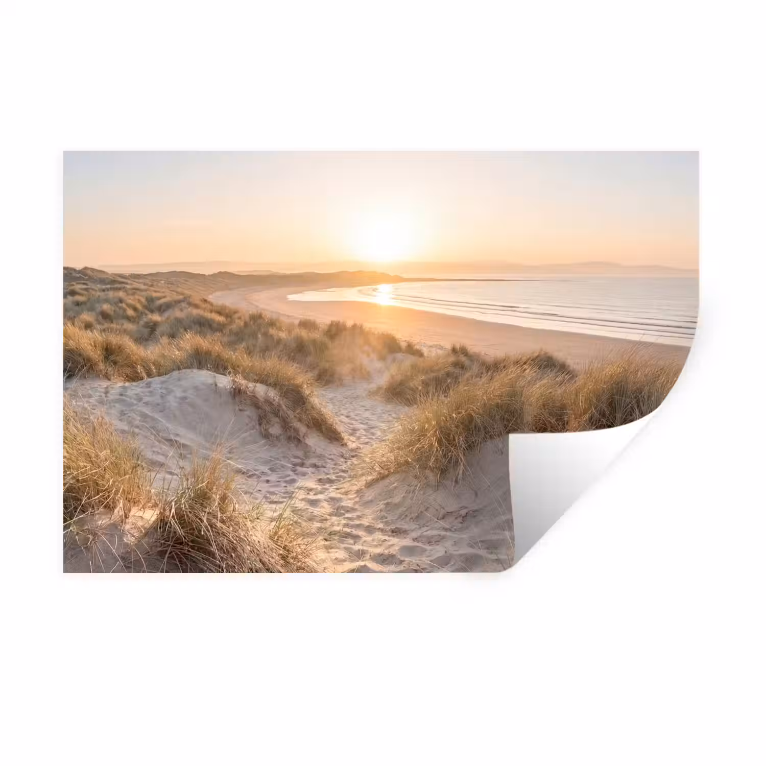 Duinen - Strand - Zee Muursticker klein -3d