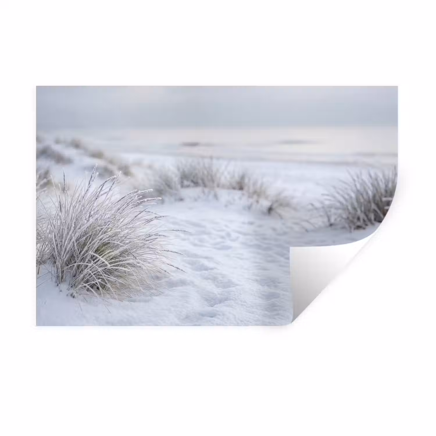 Duinen - Sneeuw - Strand - Winter - Serene Muursticker klein -3d